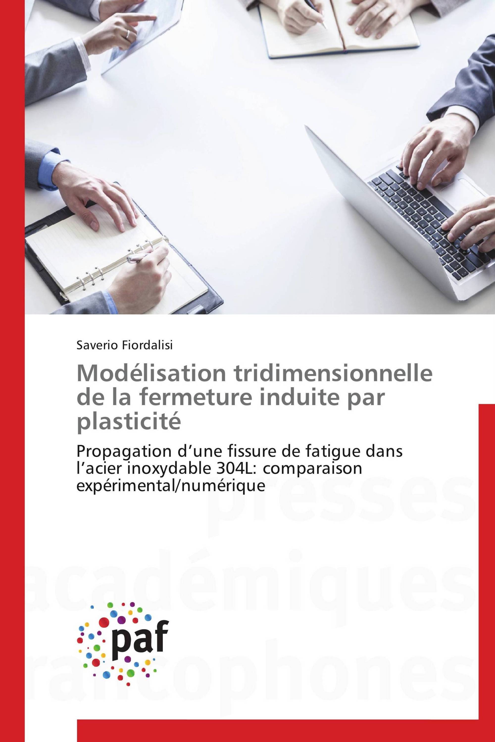 Modélisation tridimensionnelle de la fermeture induite par plasticité