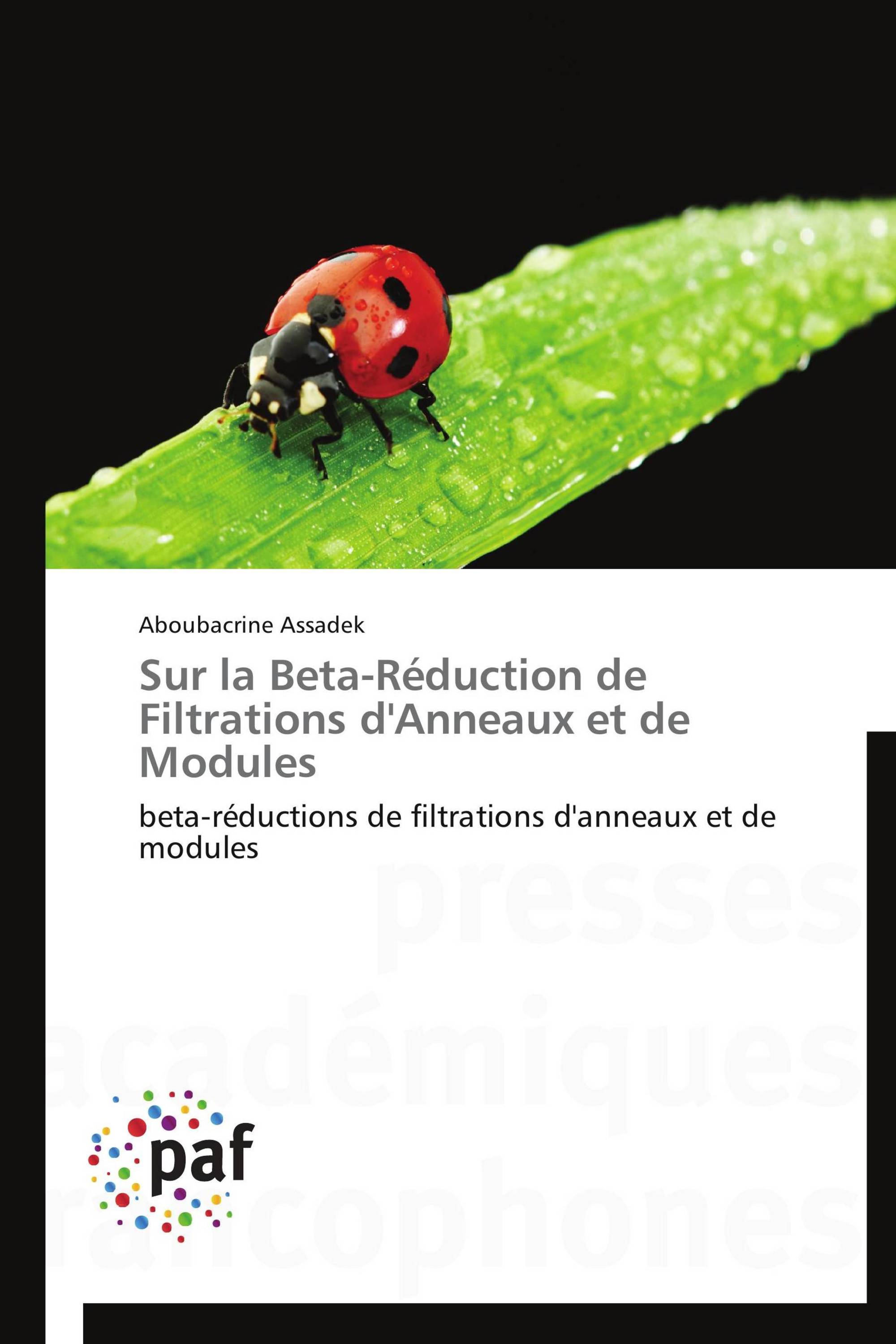 Sur la Beta-Réduction de Filtrations d'Anneaux et de Modules