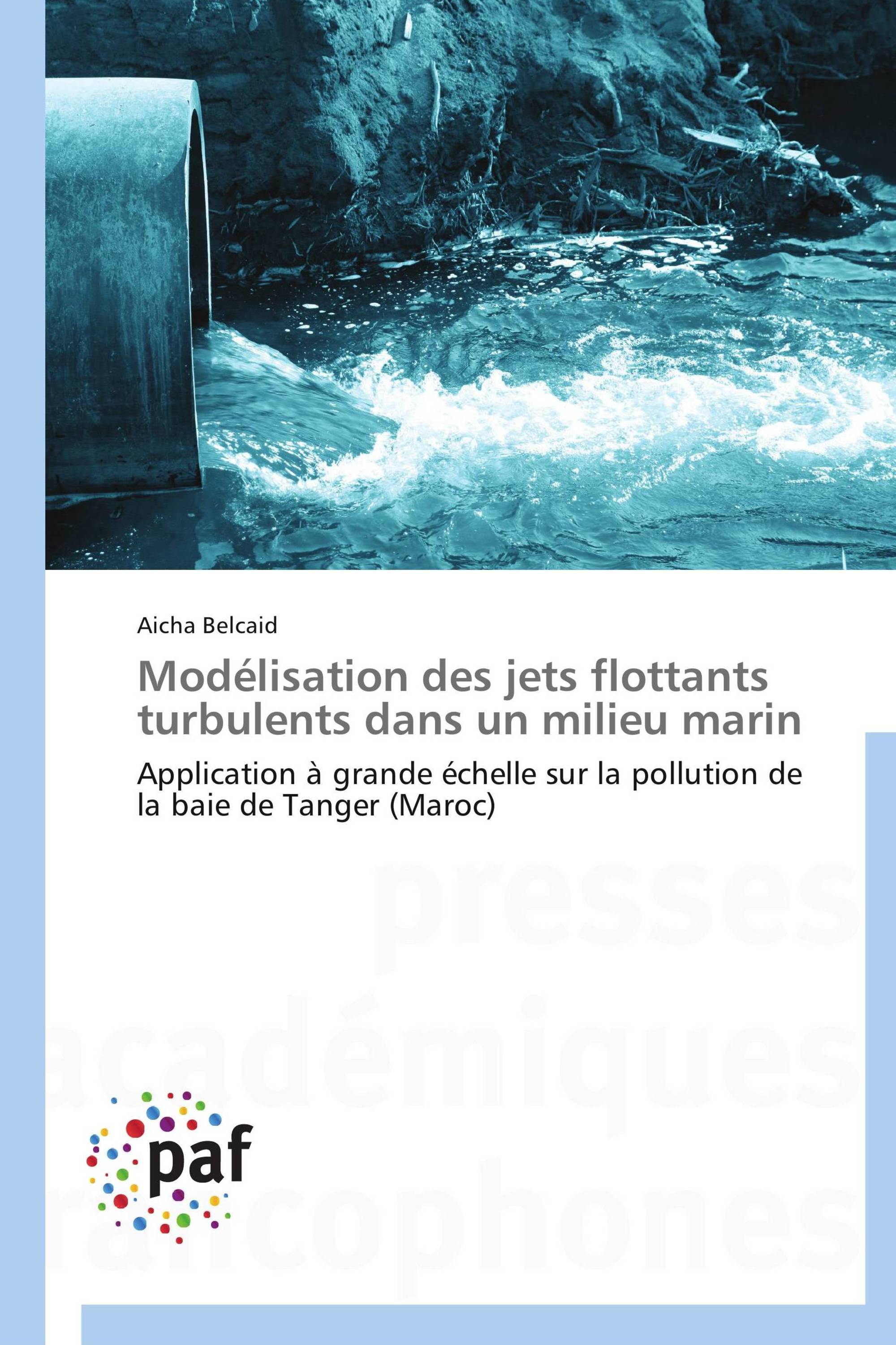 Modélisation des jets flottants turbulents dans un milieu marin