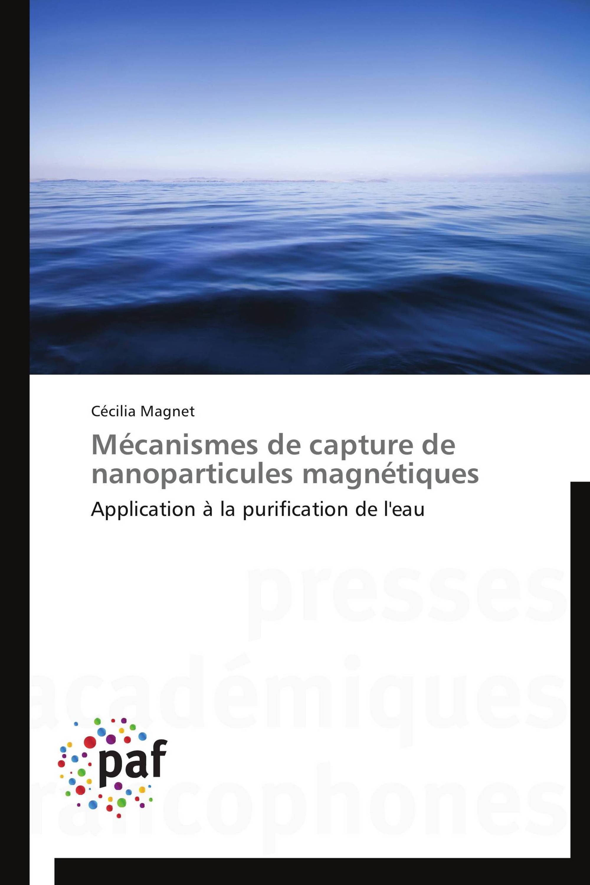 Mécanismes de capture de nanoparticules magnétiques