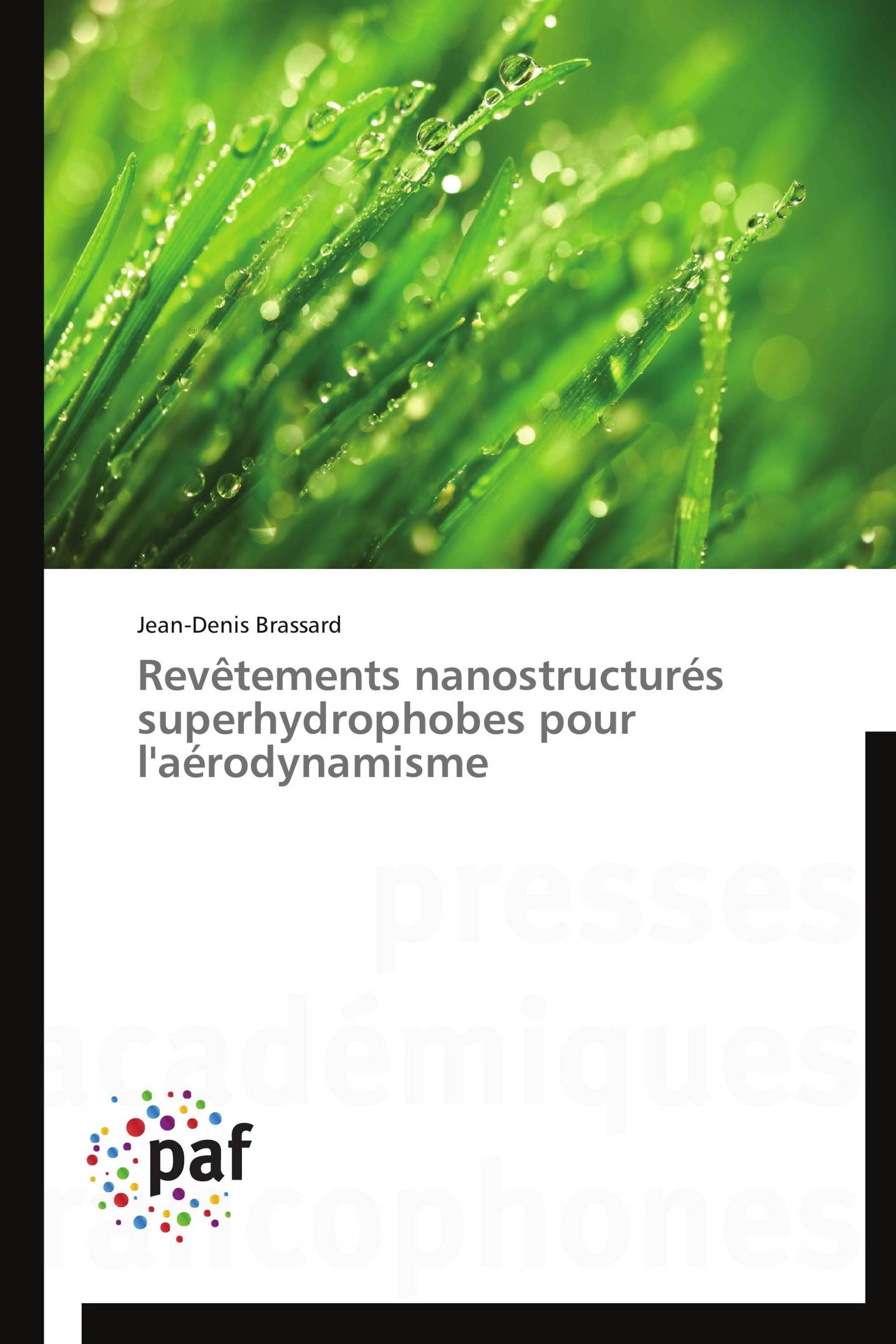 Revêtements nanostructurés superhydrophobes pour l'aérodynamisme