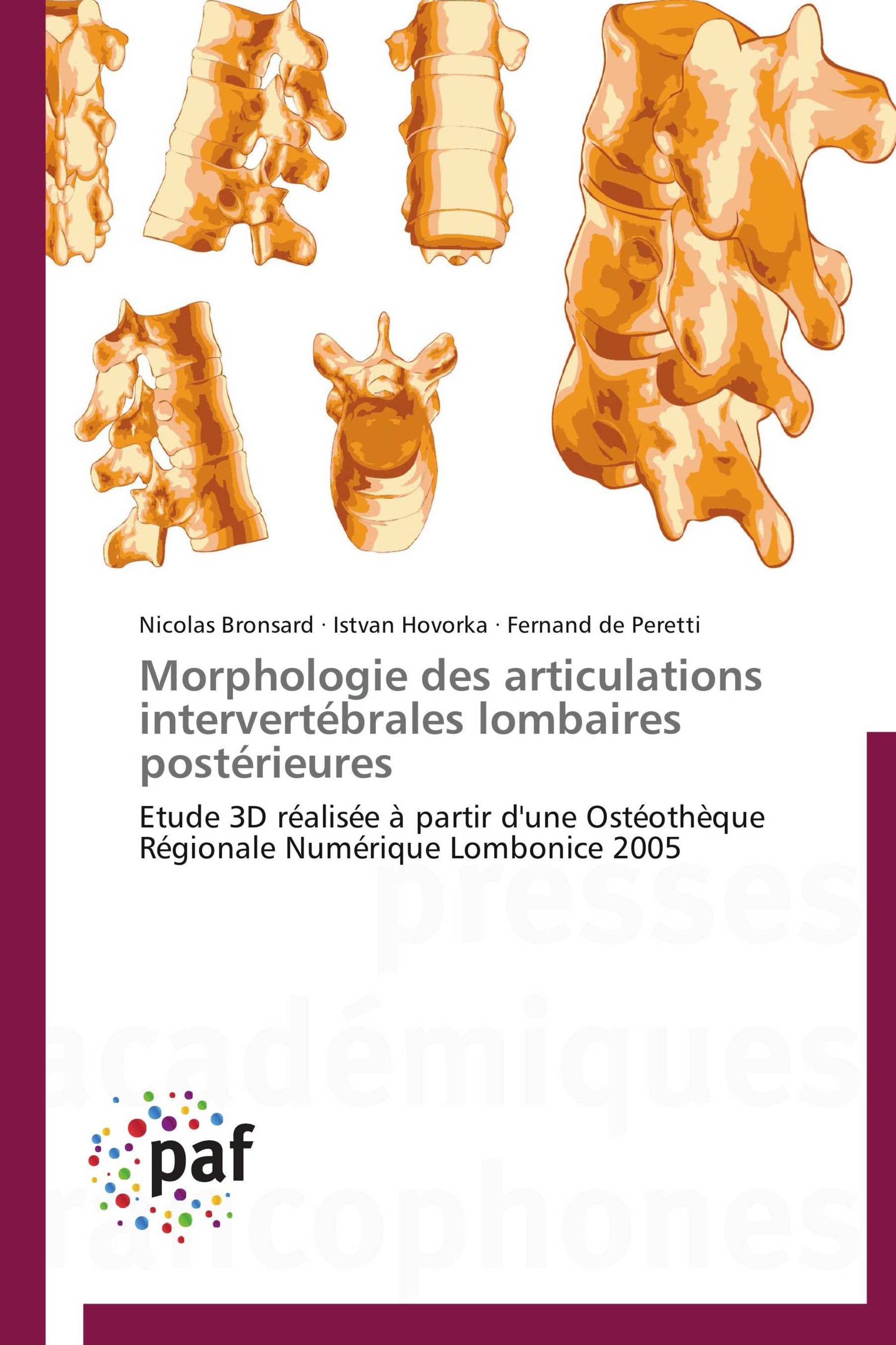 Morphologie des articulations intervertébrales lombaires postérieures