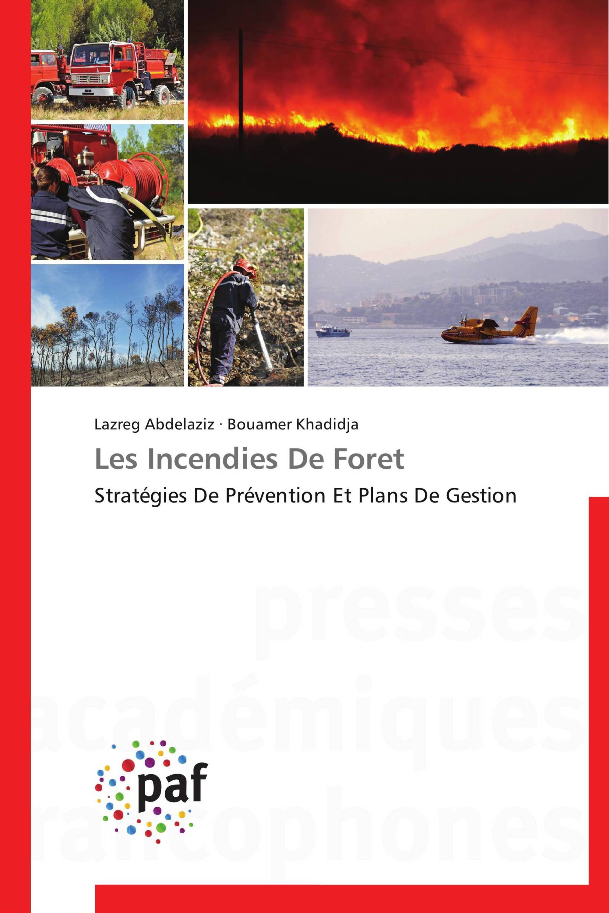 Les Incendies De Foret