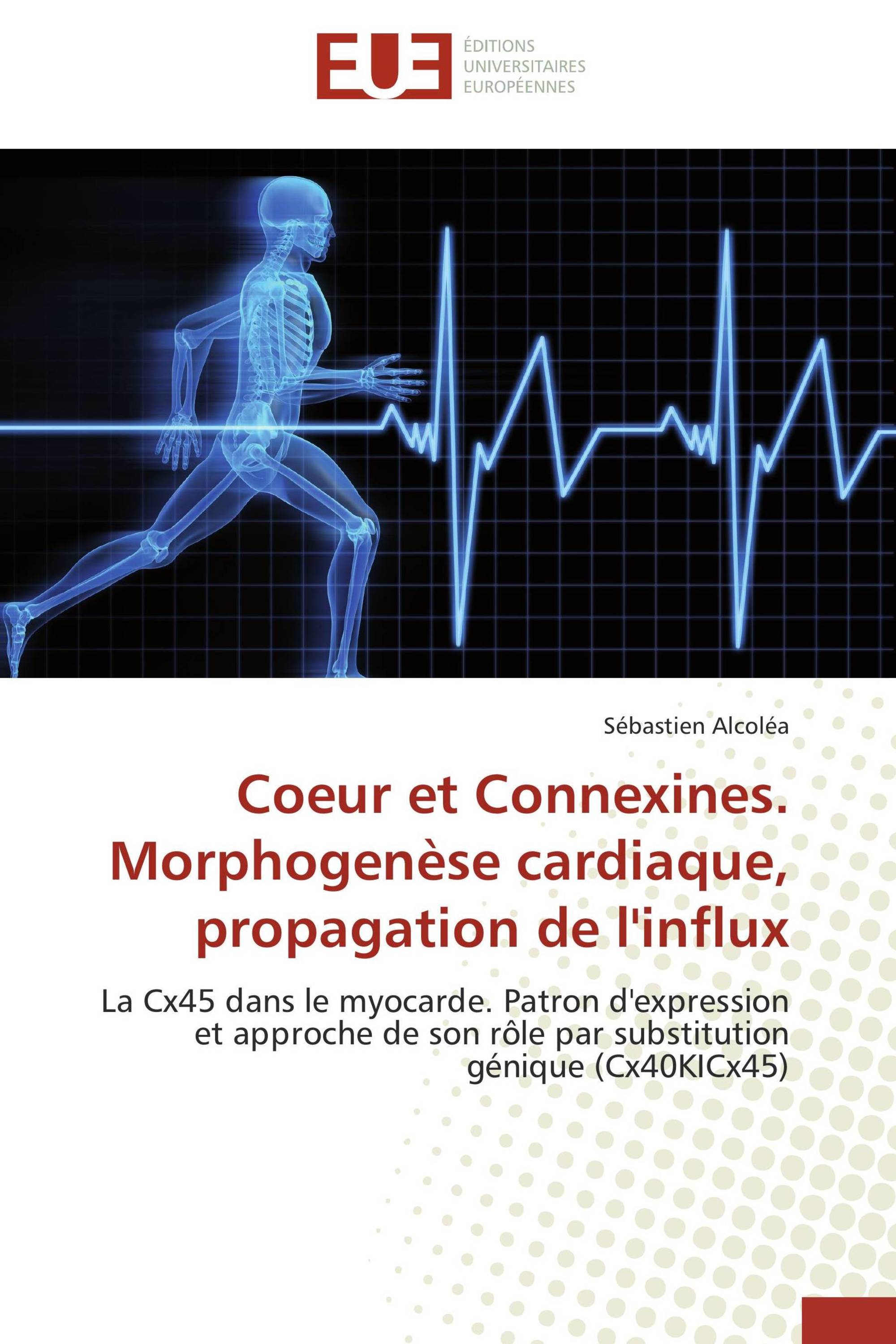 Coeur et Connexines. Morphogenèse cardiaque, propagation de l'influx