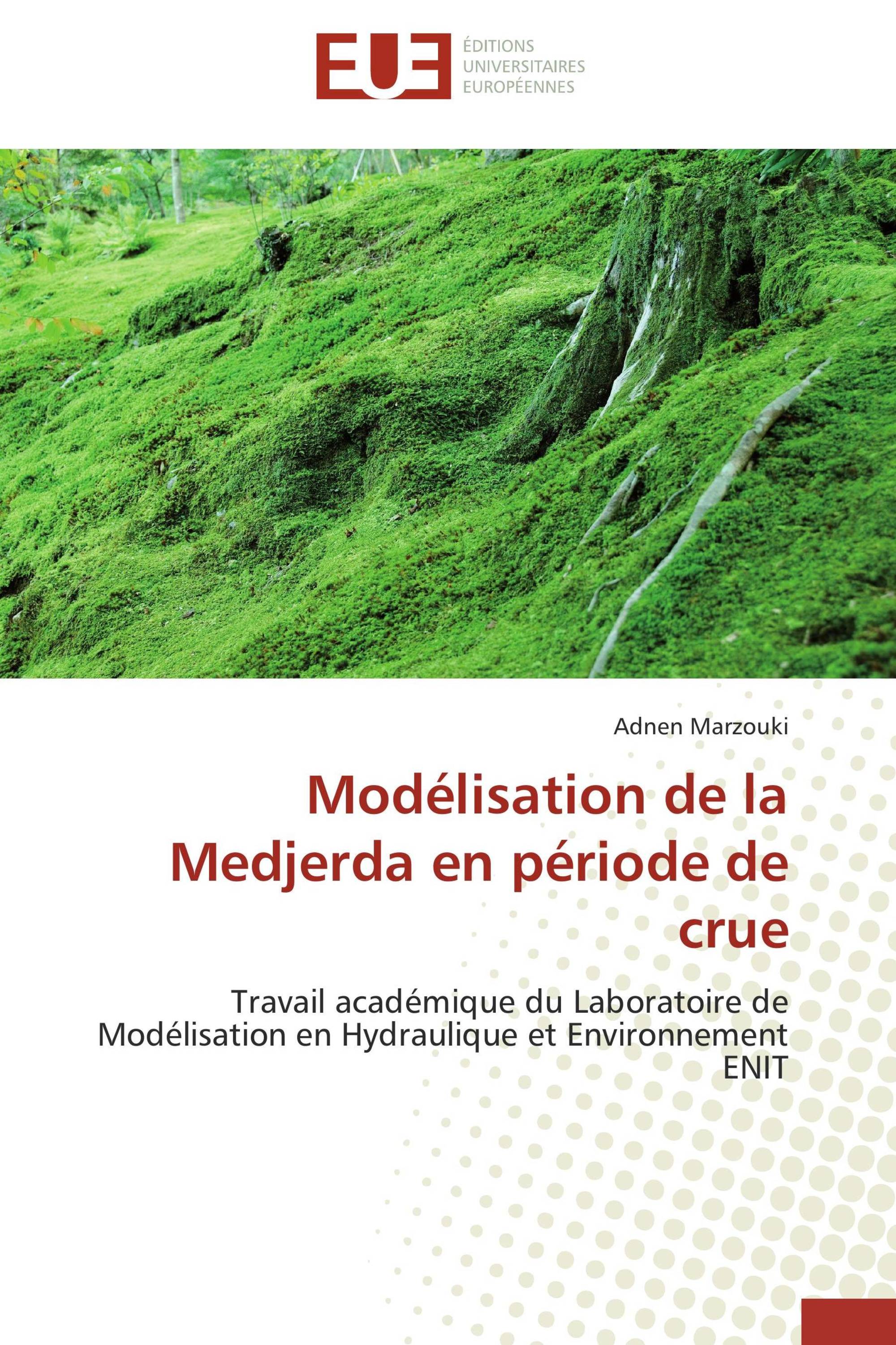 Modélisation de la Medjerda en période de crue