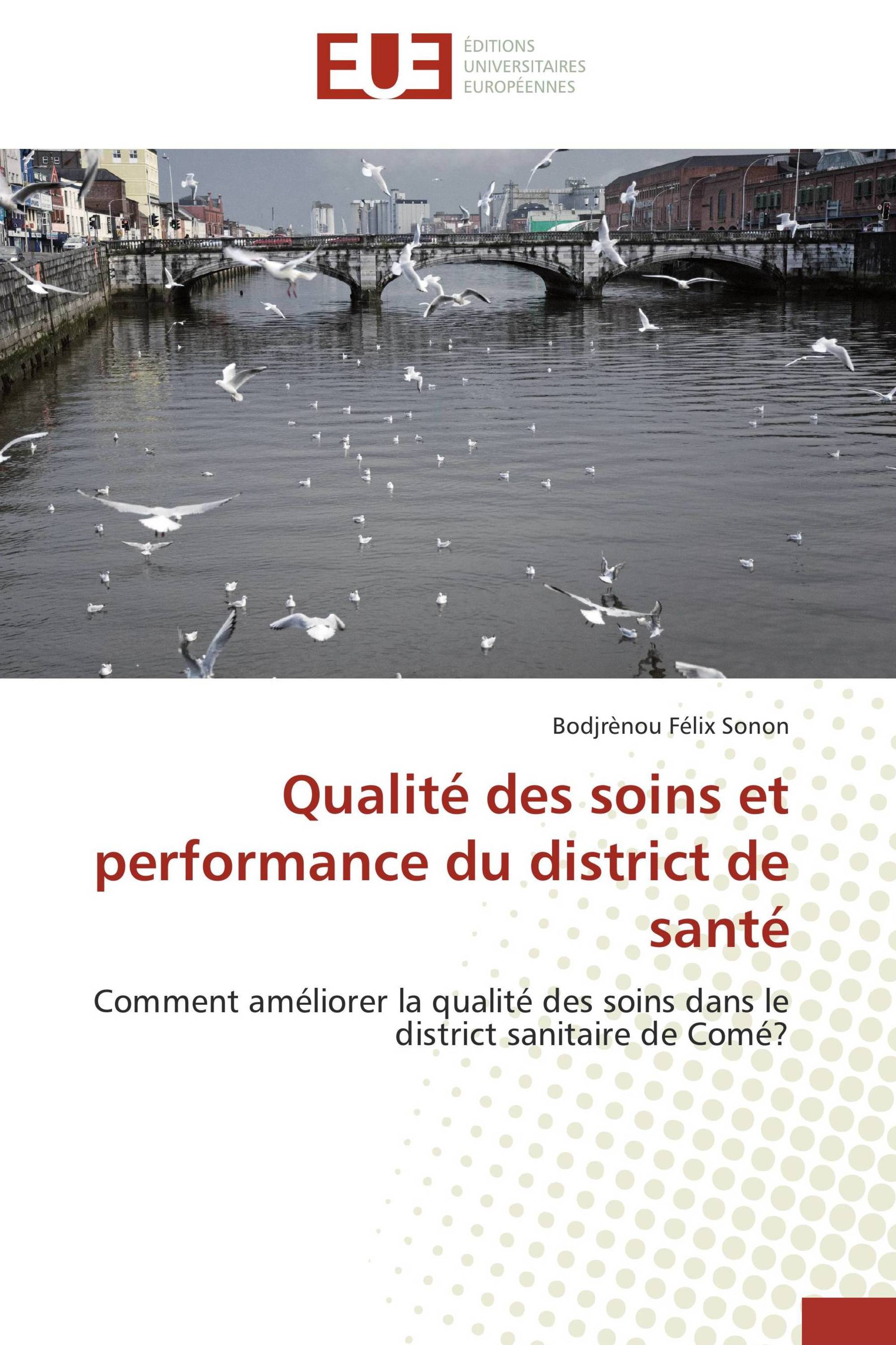 Qualité des soins et performance du district de santé