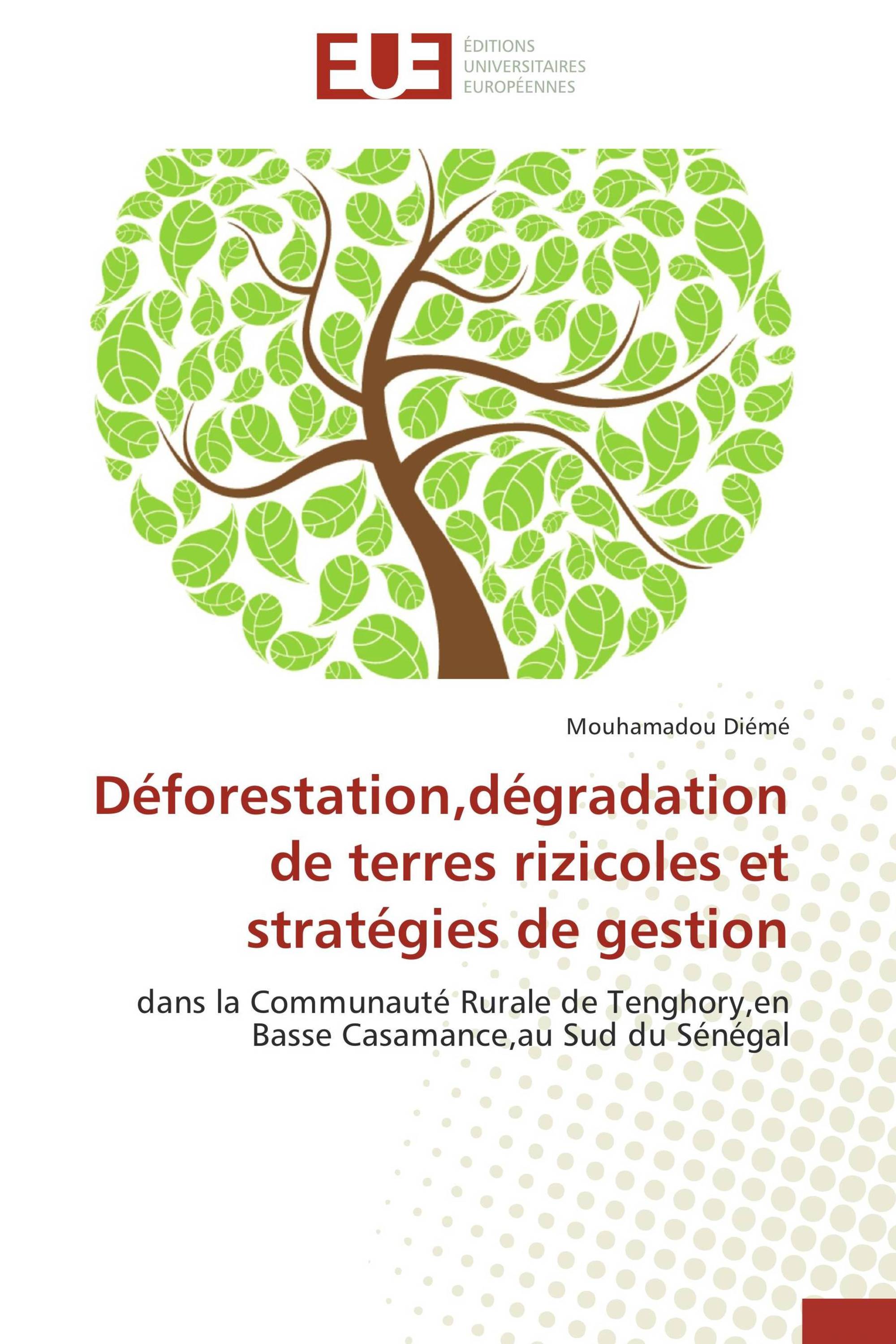 Déforestation,dégradation de terres rizicoles et stratégies de gestion