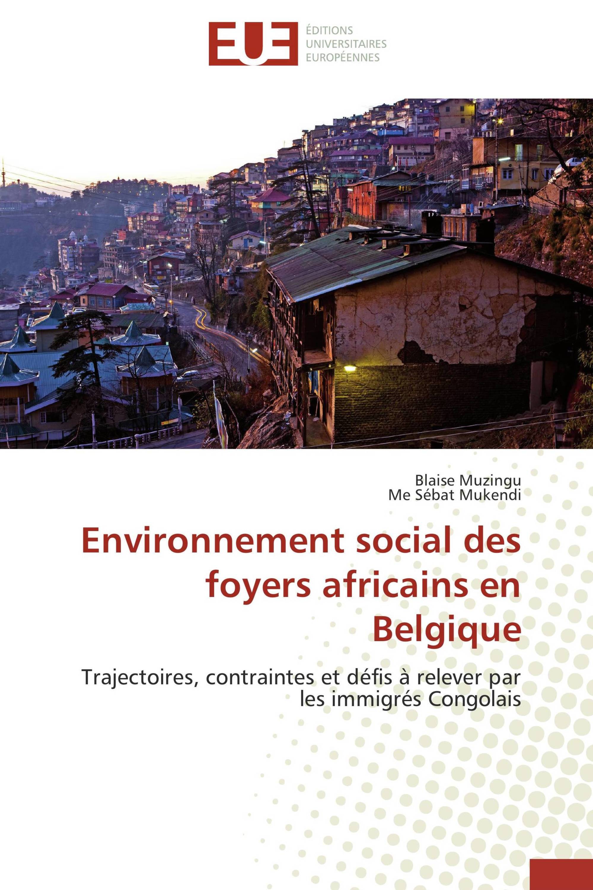 Environnement social des foyers africains en Belgique