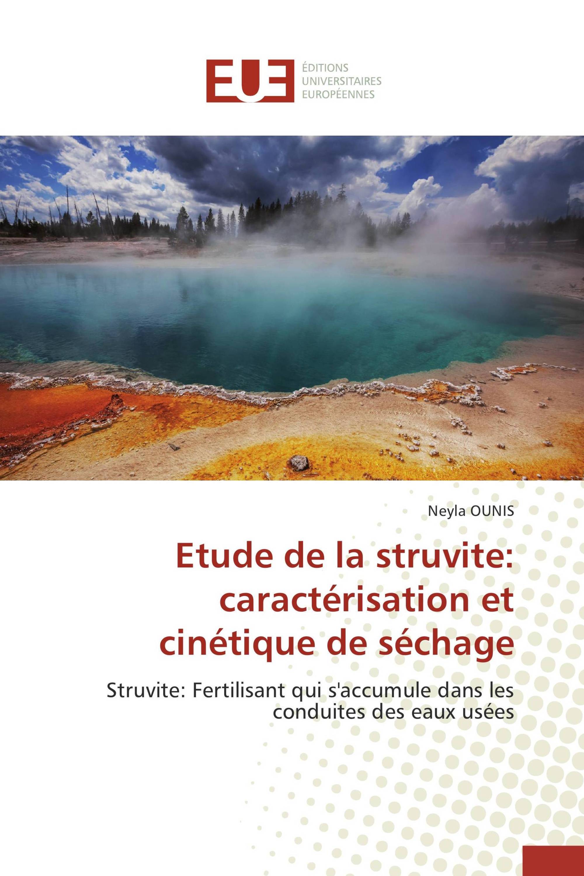 Étude de la struvité: caractérisation et cinétique de séchage