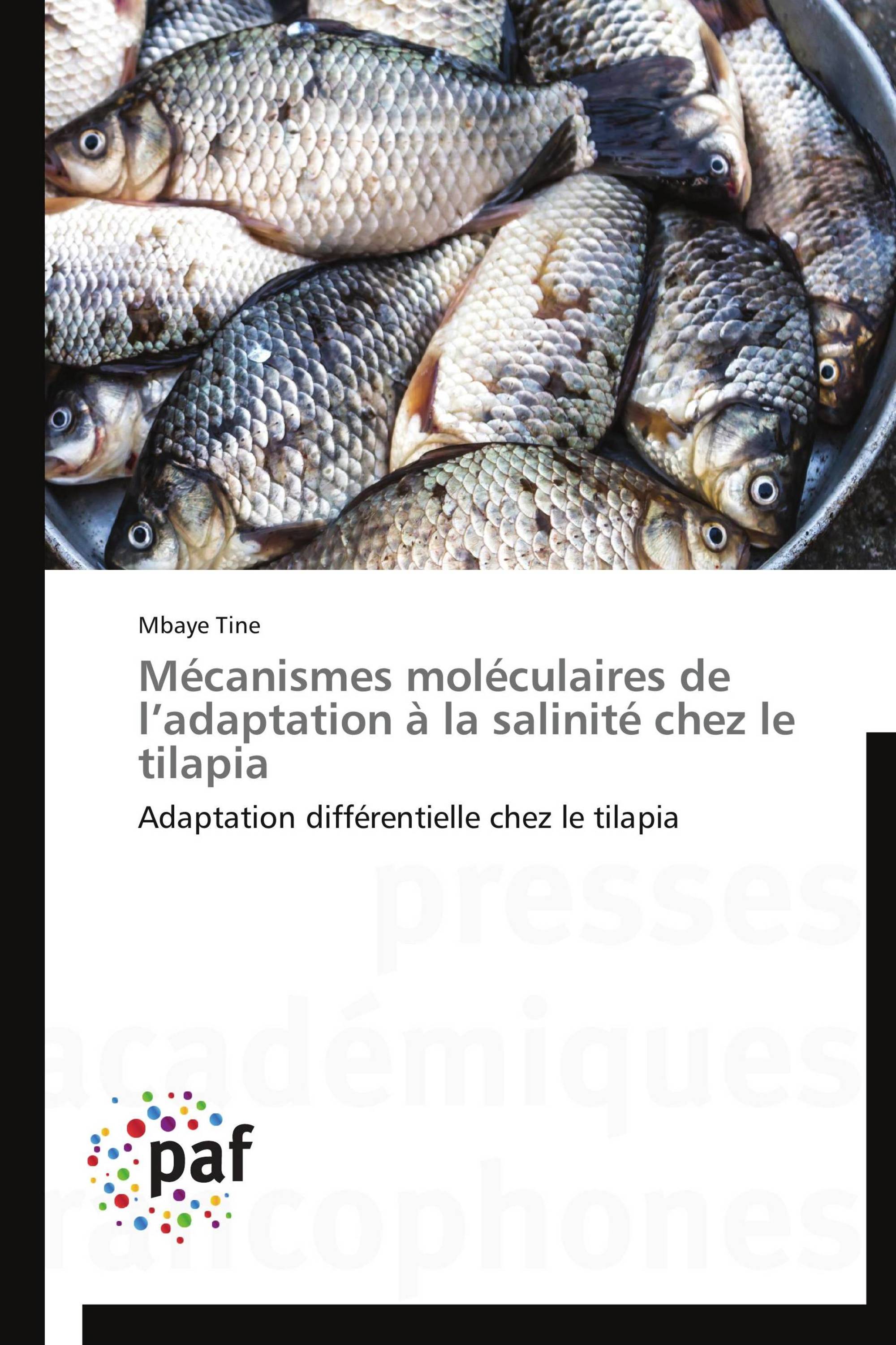 Mécanismes moléculaires de l’adaptation à la salinité chez le tilapia