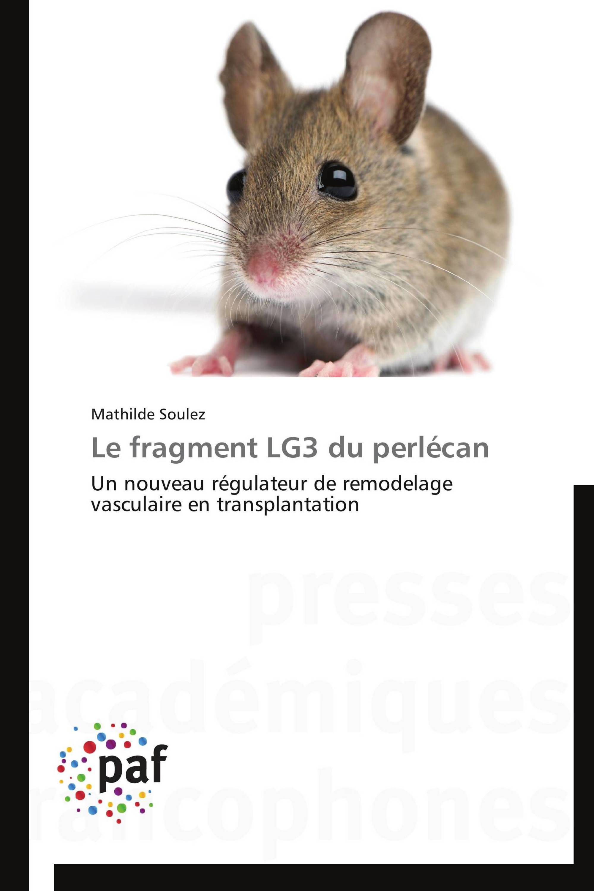 Le fragment LG3 du perlécan