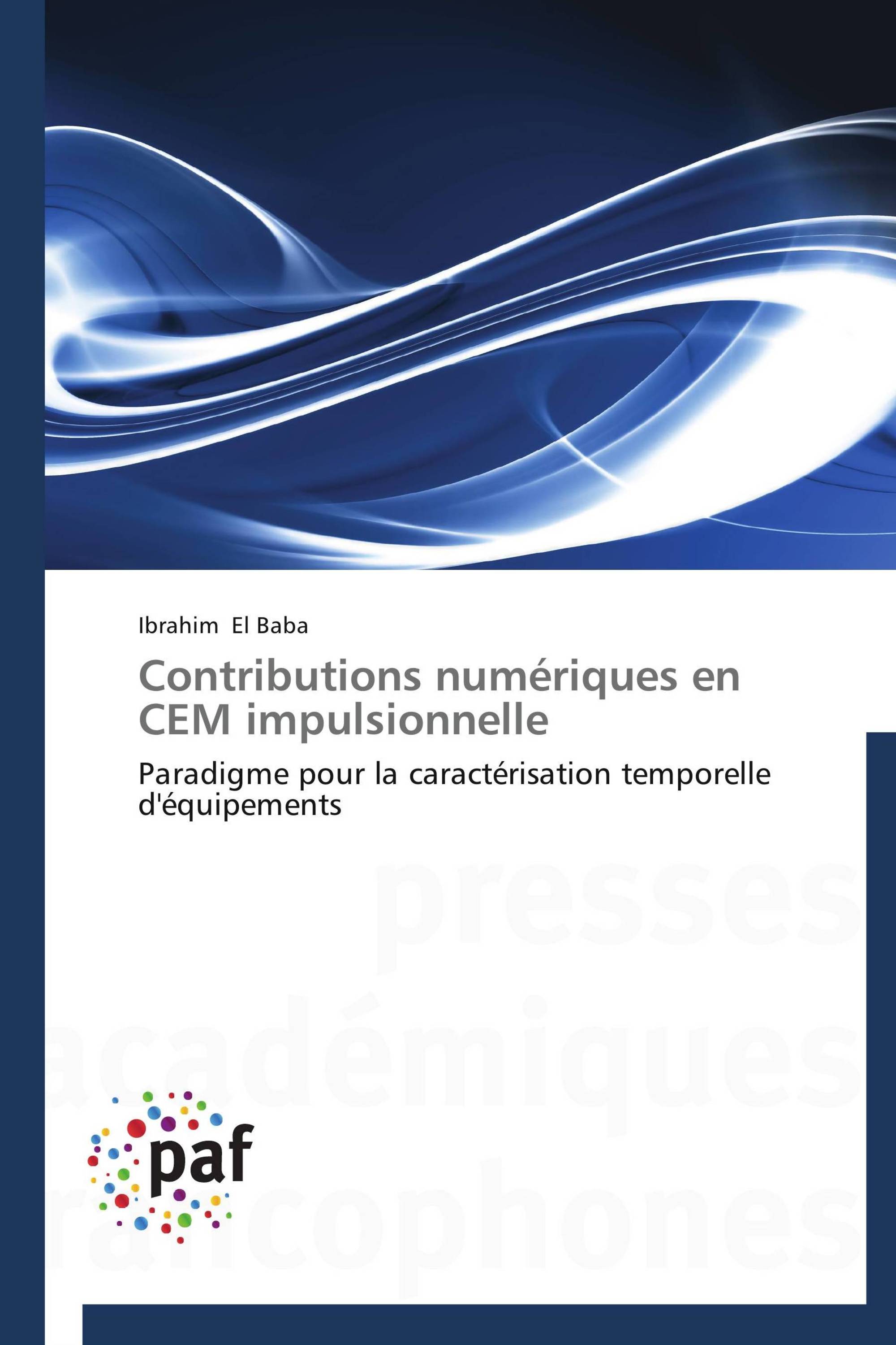 Contributions numériques en CEM impulsionnelle