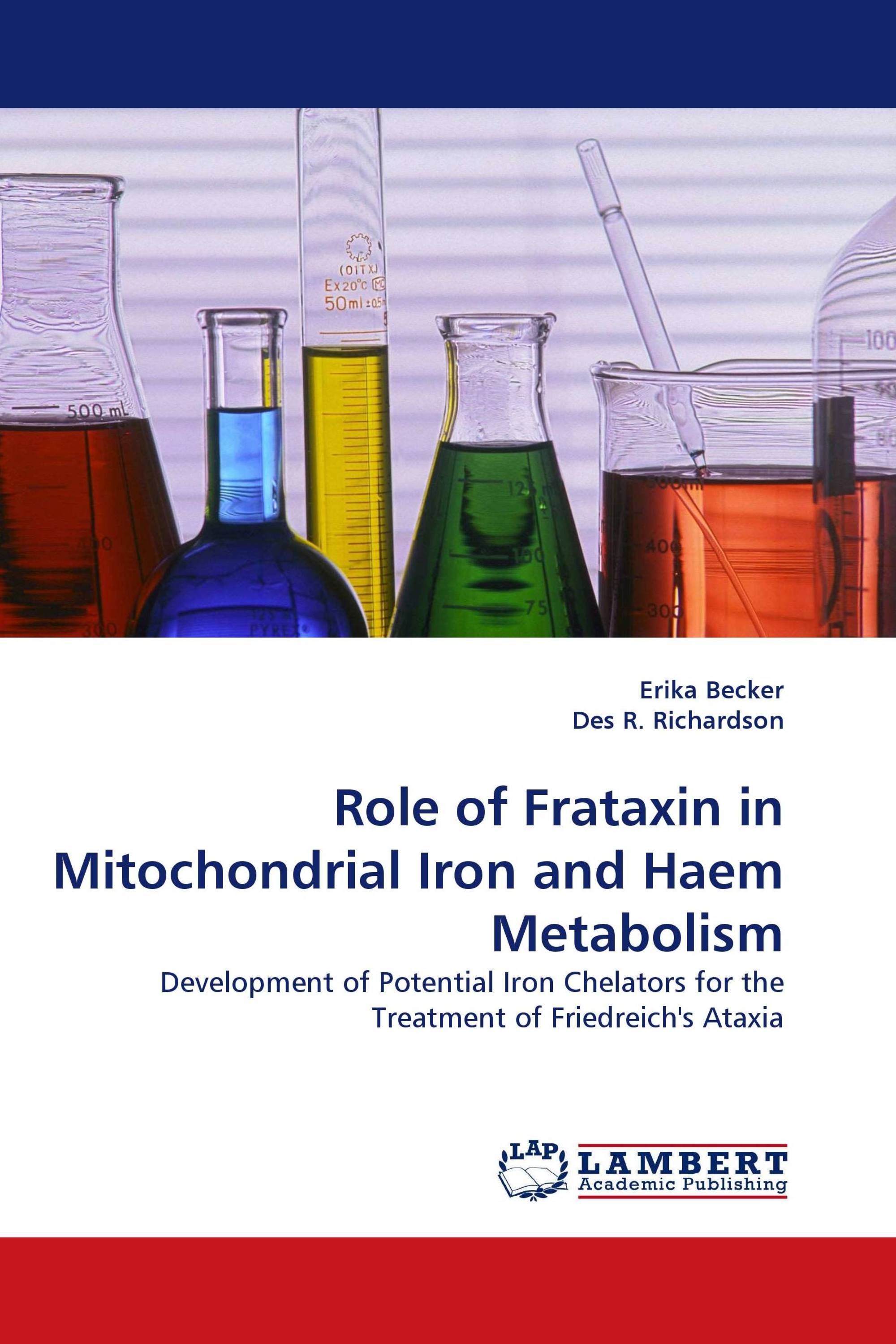 Role of Frataxin in Mitochondrial Iron and Haem Metabolism