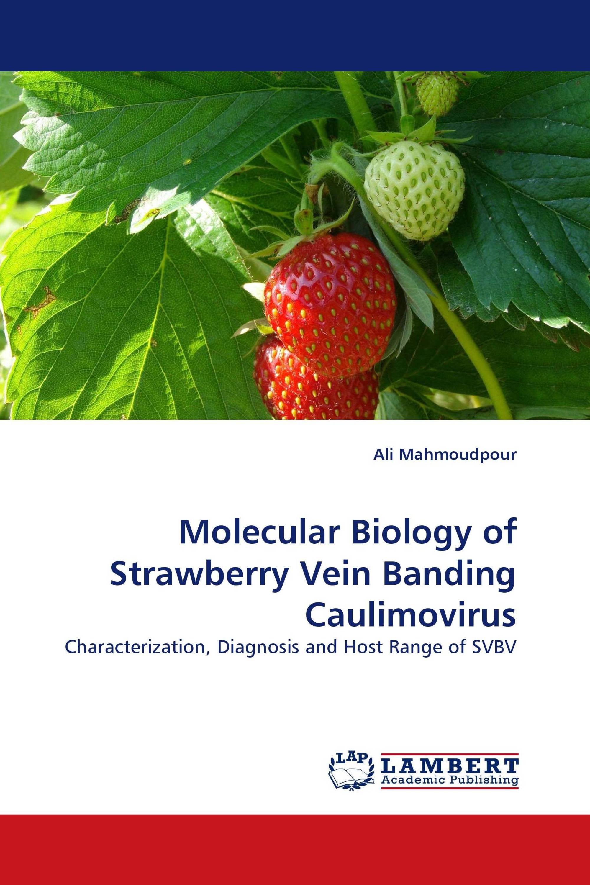 Molecular Biology of Strawberry Vein Banding Caulimovirus