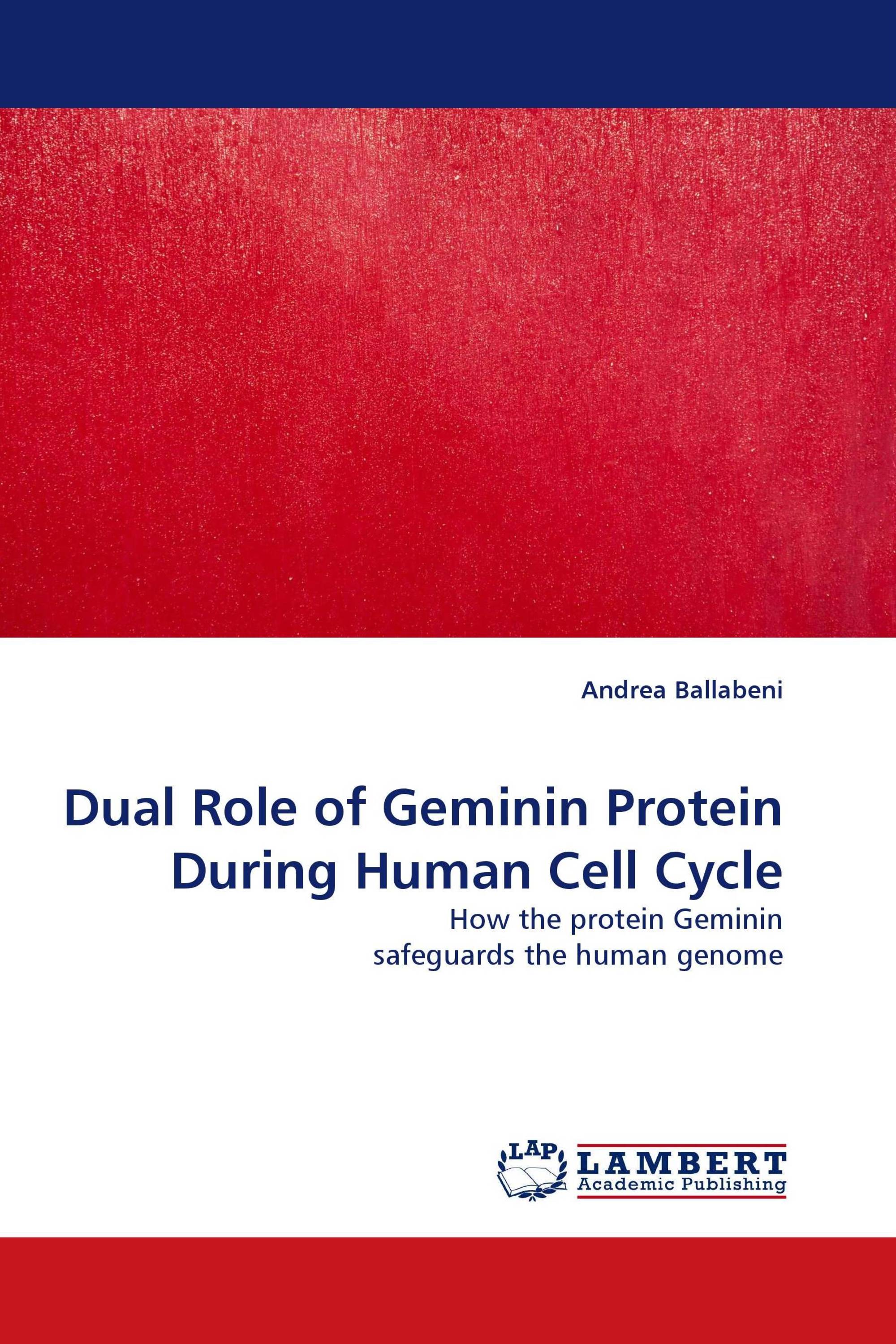 Dual Role of Geminin Protein During Human Cell Cycle