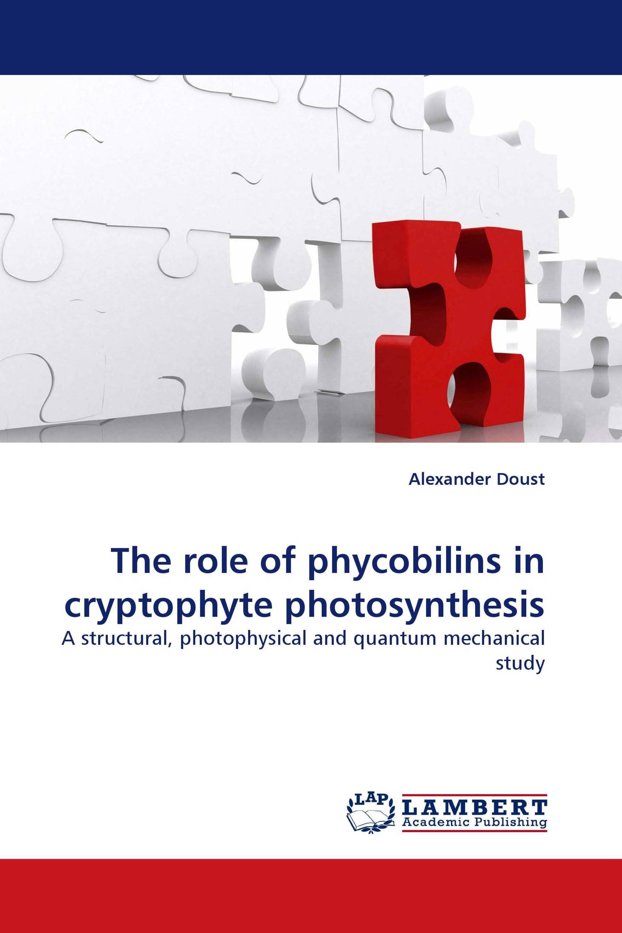 The role of phycobilins in cryptophyte photosynthesis