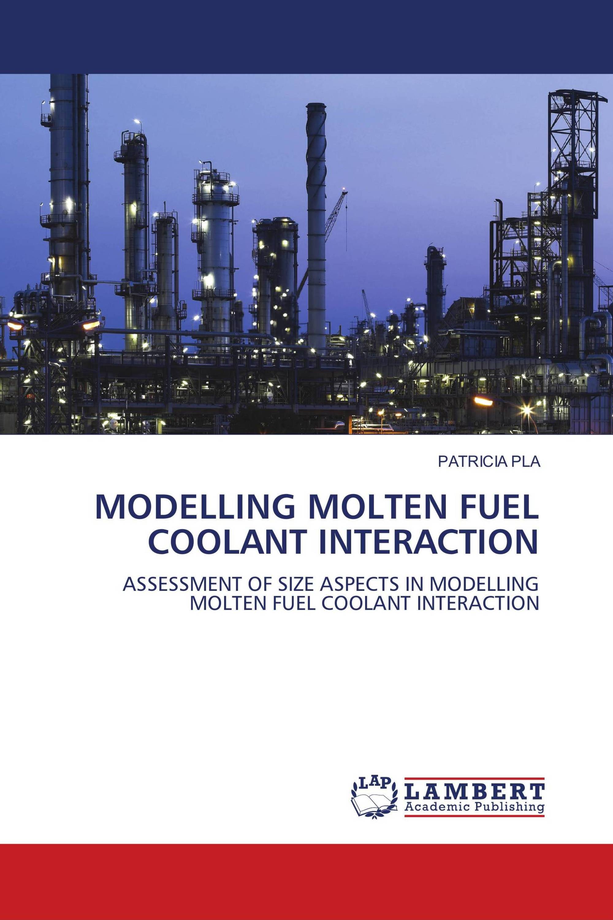 MODELLING MOLTEN FUEL COOLANT INTERACTION