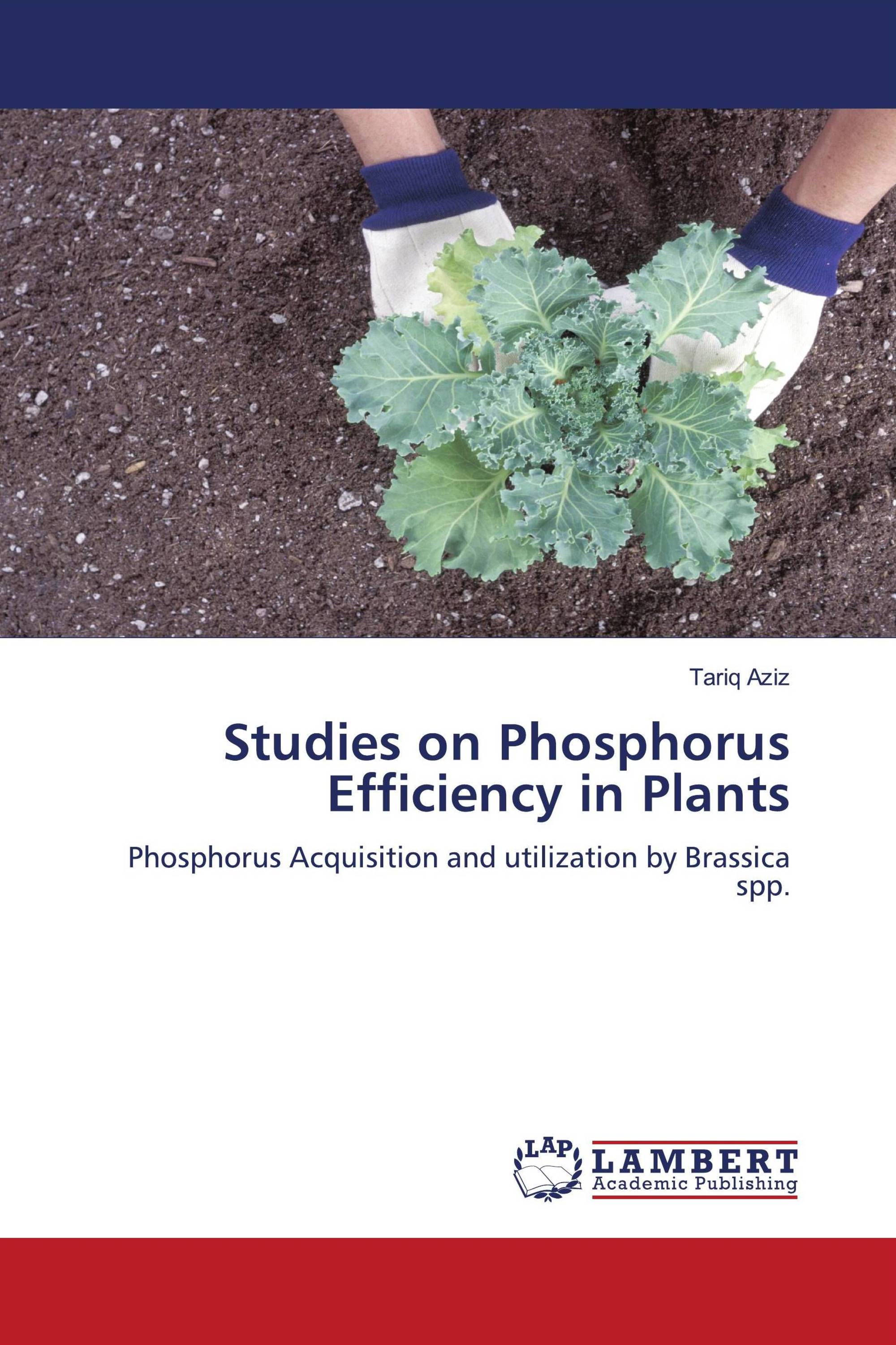 Studies on Phosphorus Efficiency in Plants