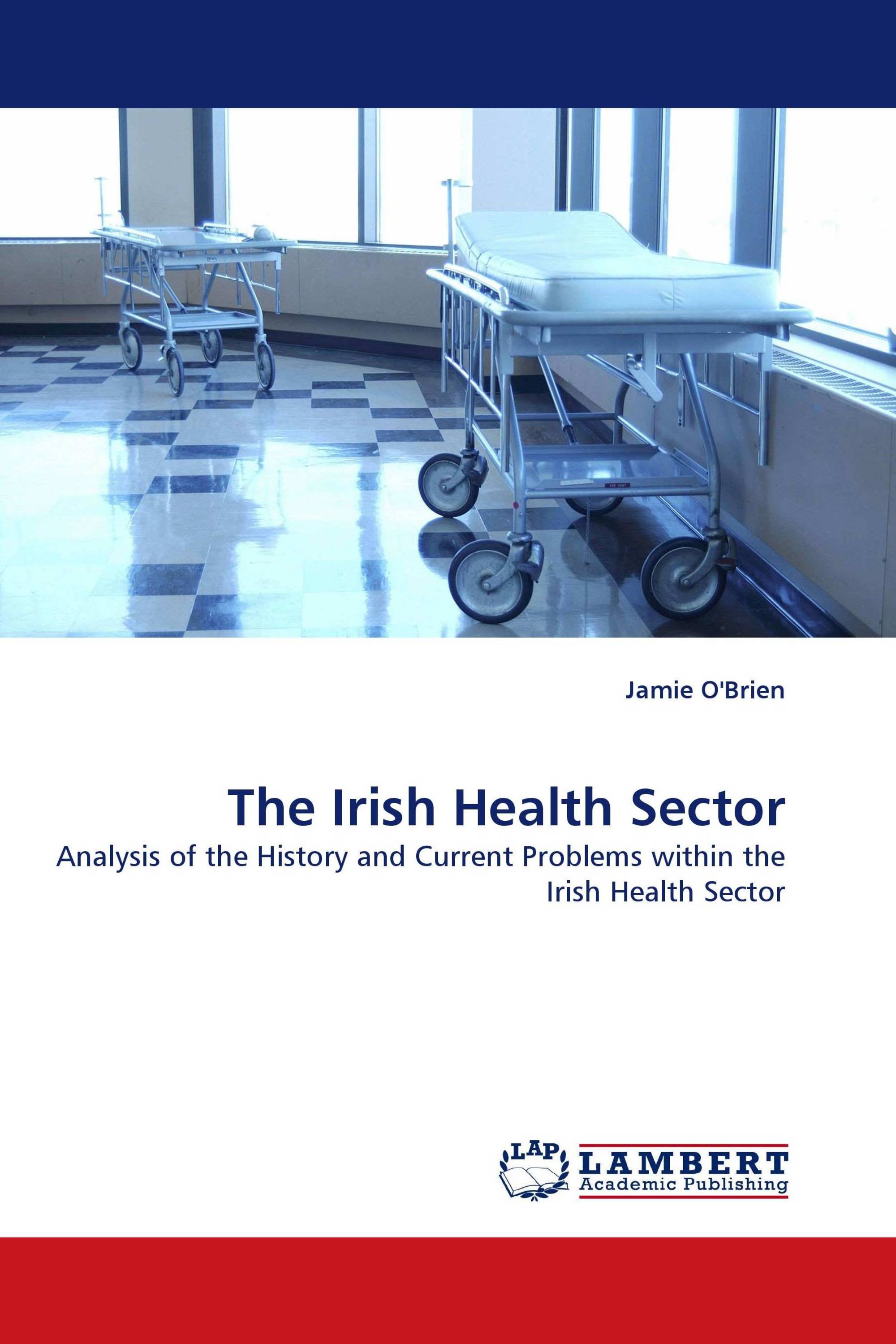 The Irish Health Sector