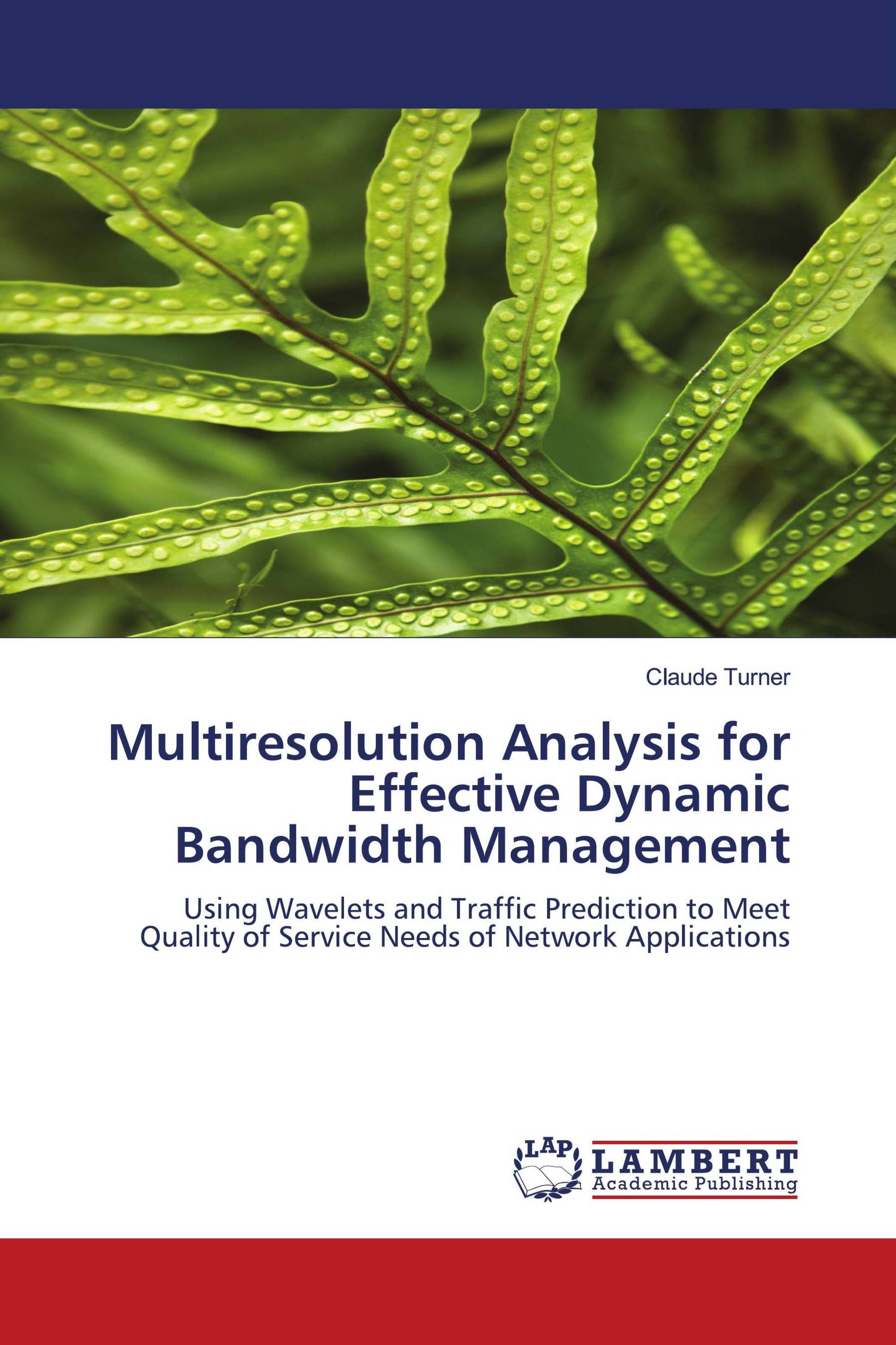 Multiresolution Analysis for Effective Dynamic Bandwidth Management