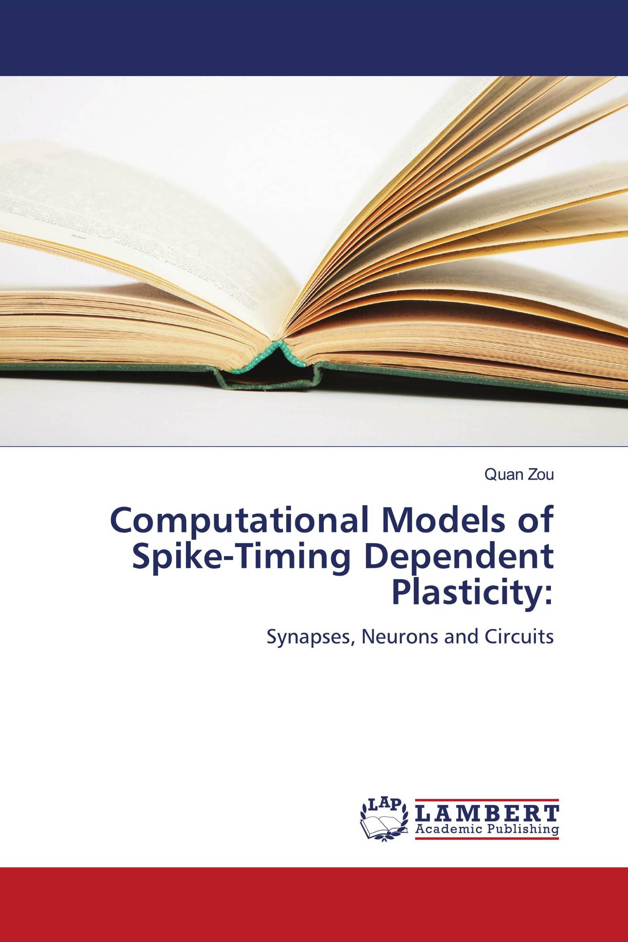 Computational Models of Spike-Timing Dependent Plasticity: