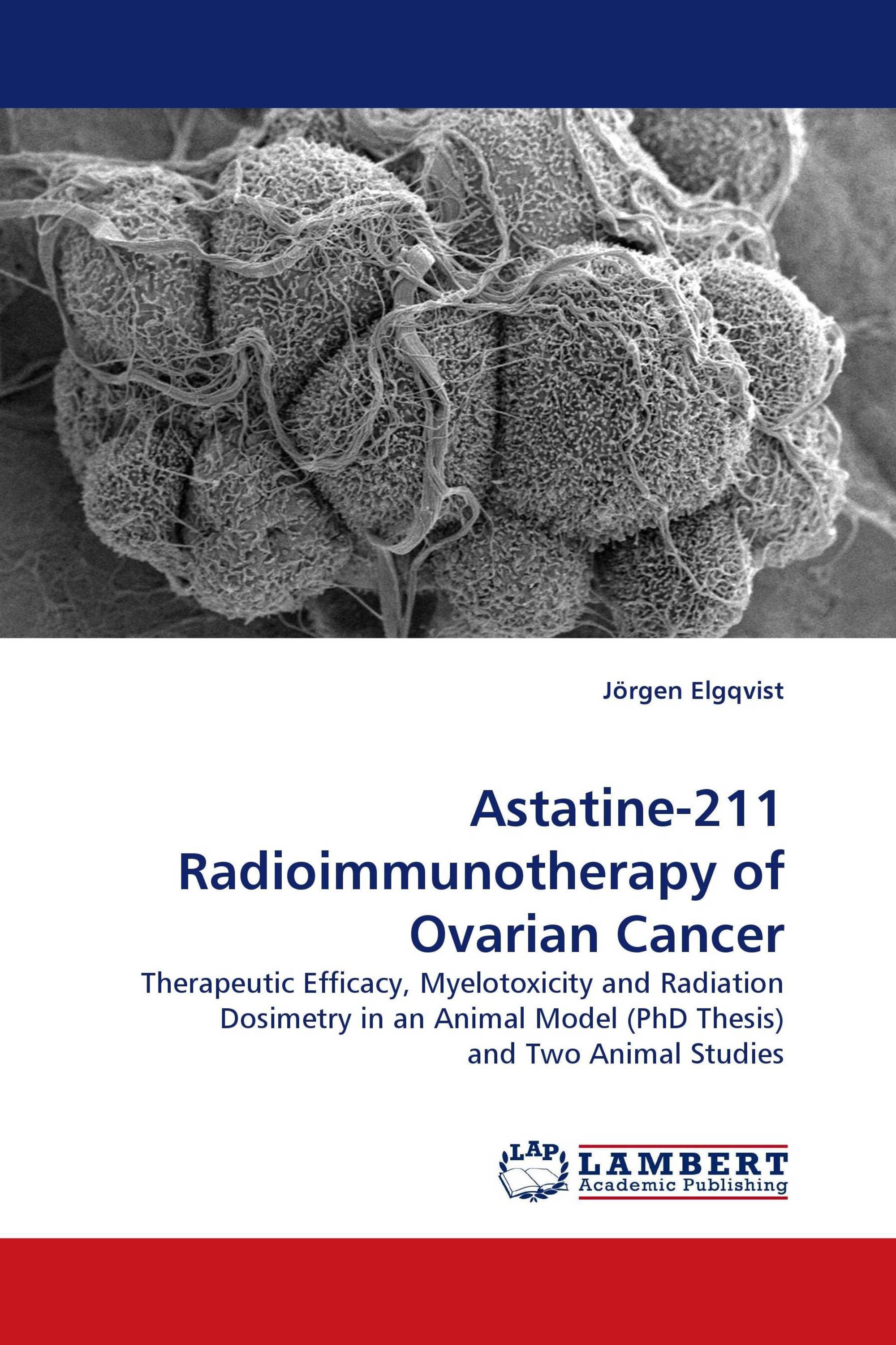 Astatine-211 Radioimmunotherapy of Ovarian Cancer