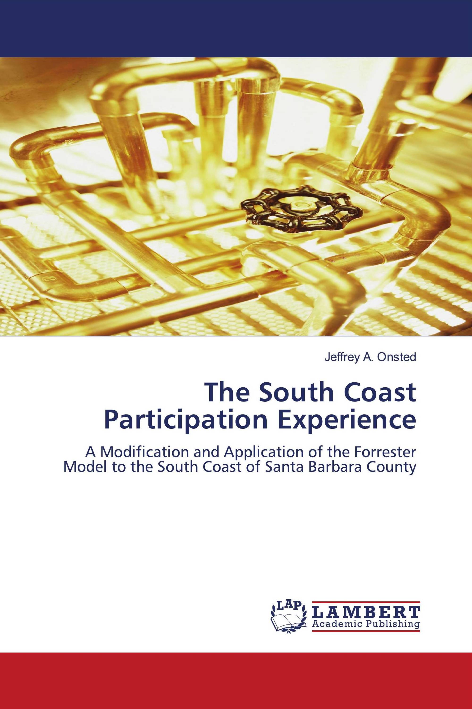 The South Coast Participation Experience