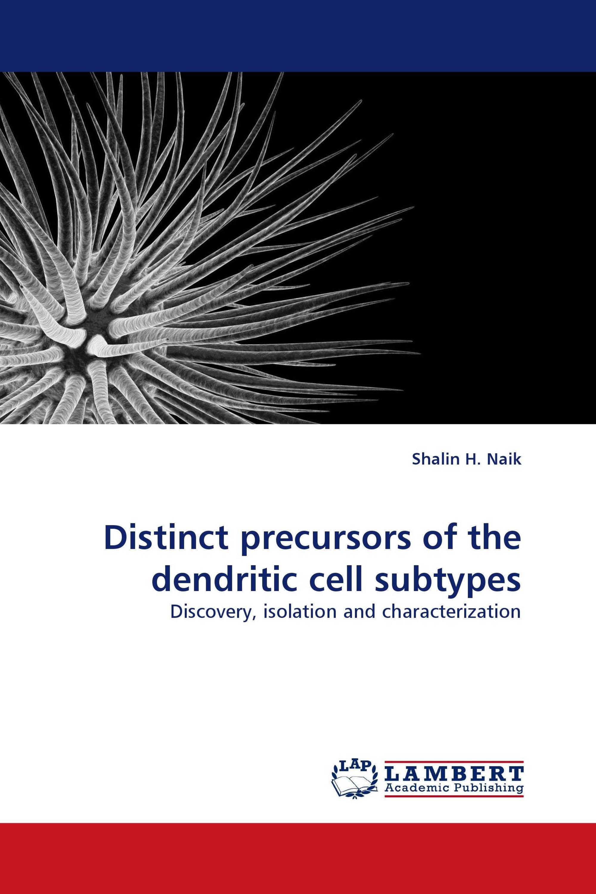 Distinct precursors of the dendritic cell subtypes