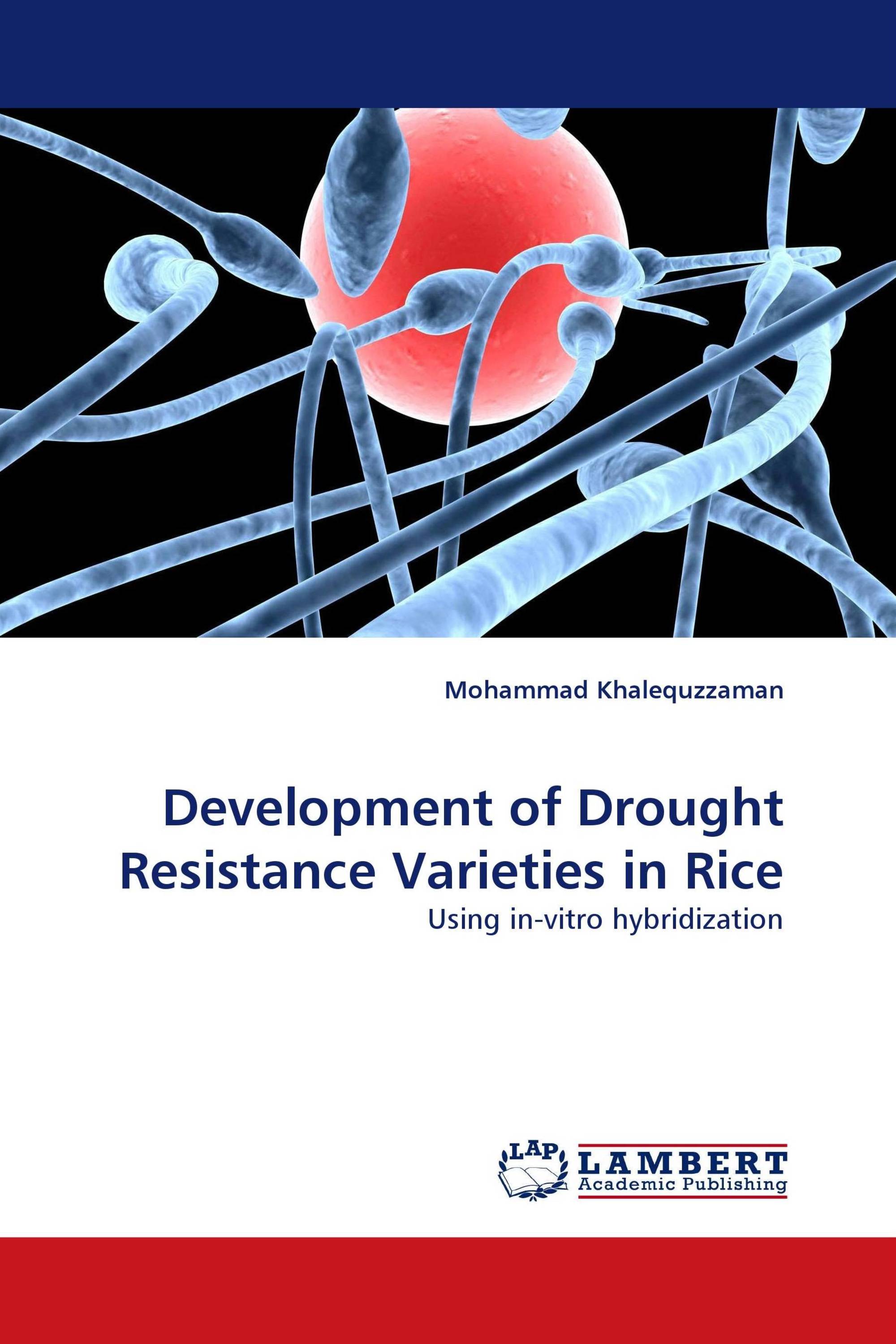 Development of Drought Resistance Varieties  in Rice