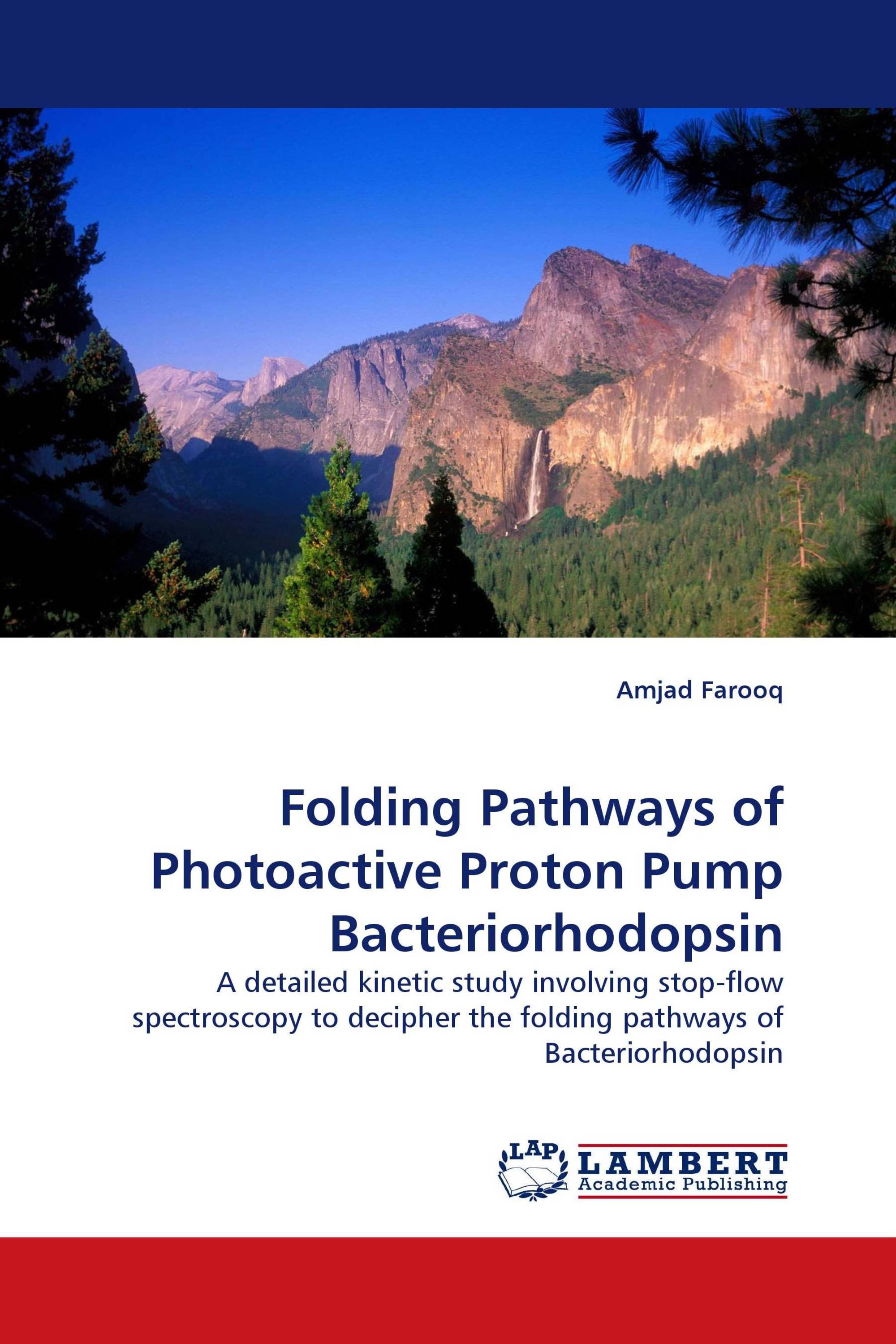 Folding Pathways of Photoactive Proton Pump Bacteriorhodopsin