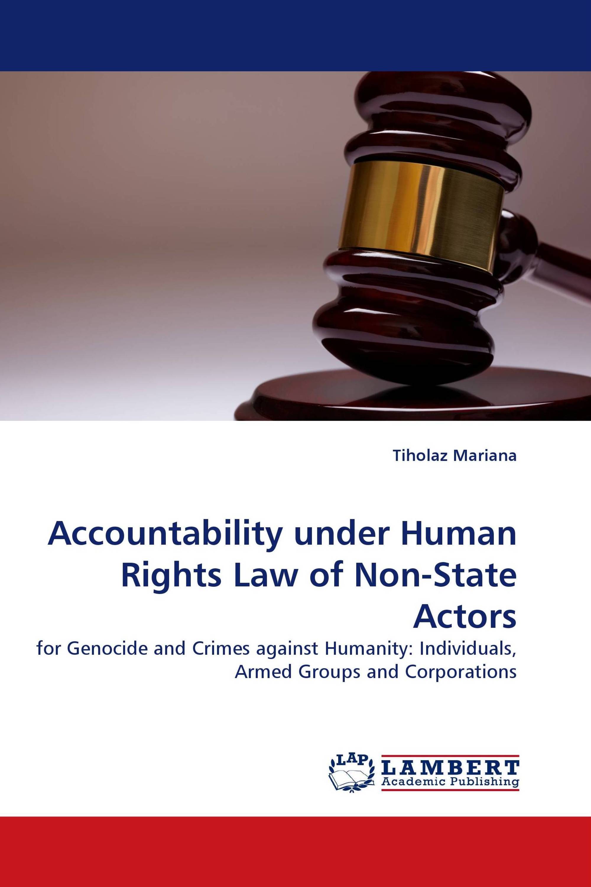 Accountability under Human Rights Law of Non-State Actors