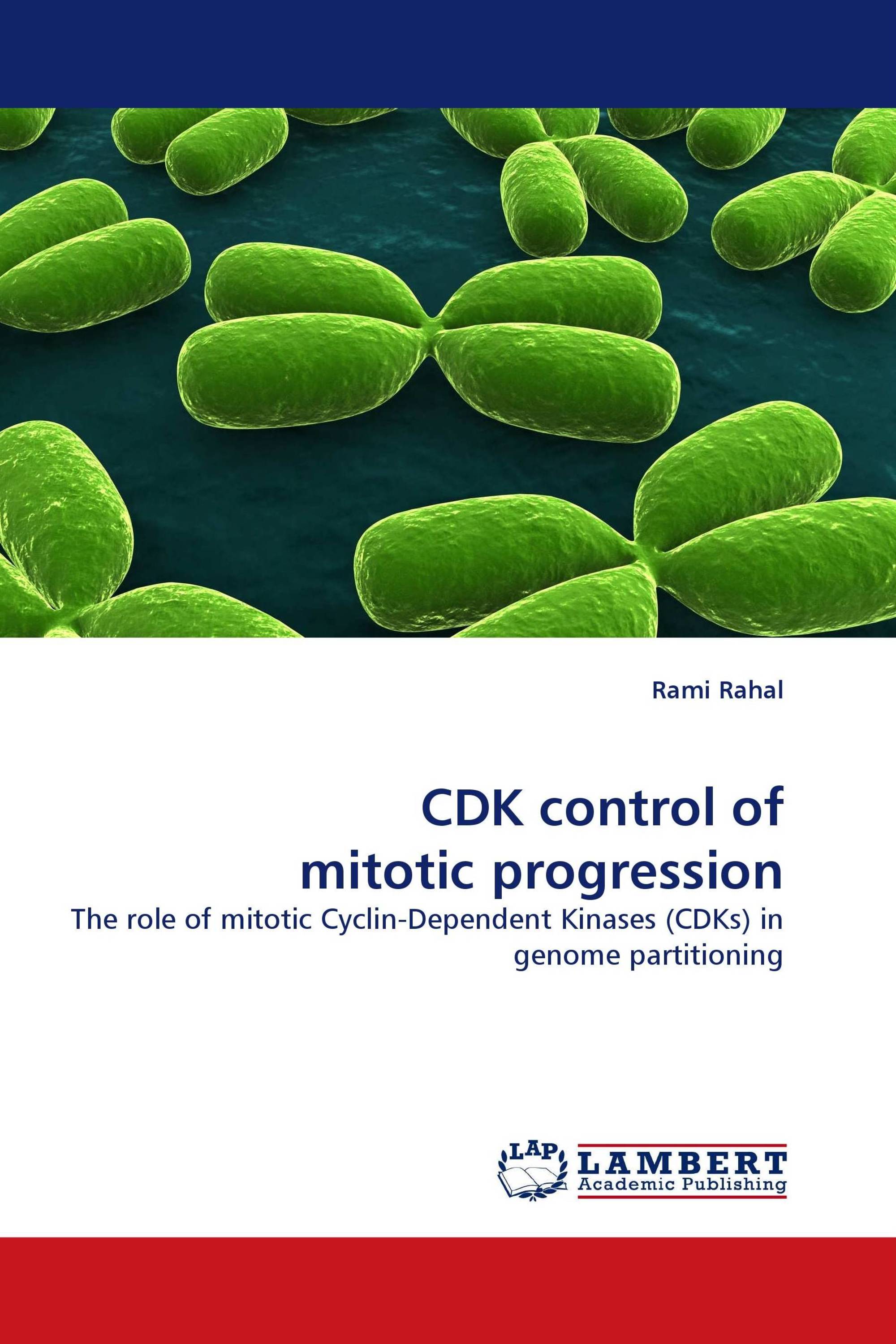 CDK control of mitotic progression