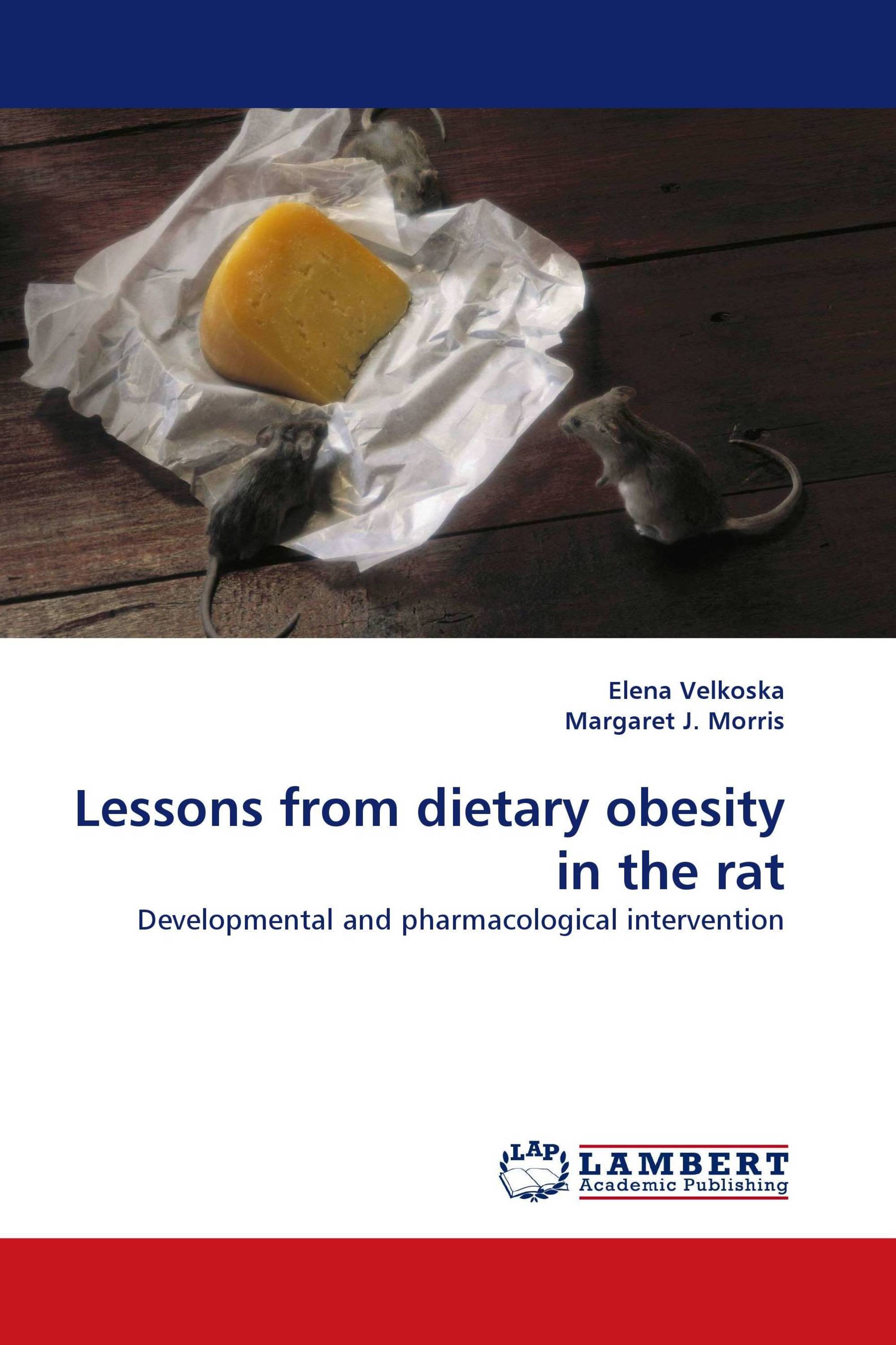 Lessons from dietary obesity in the rat