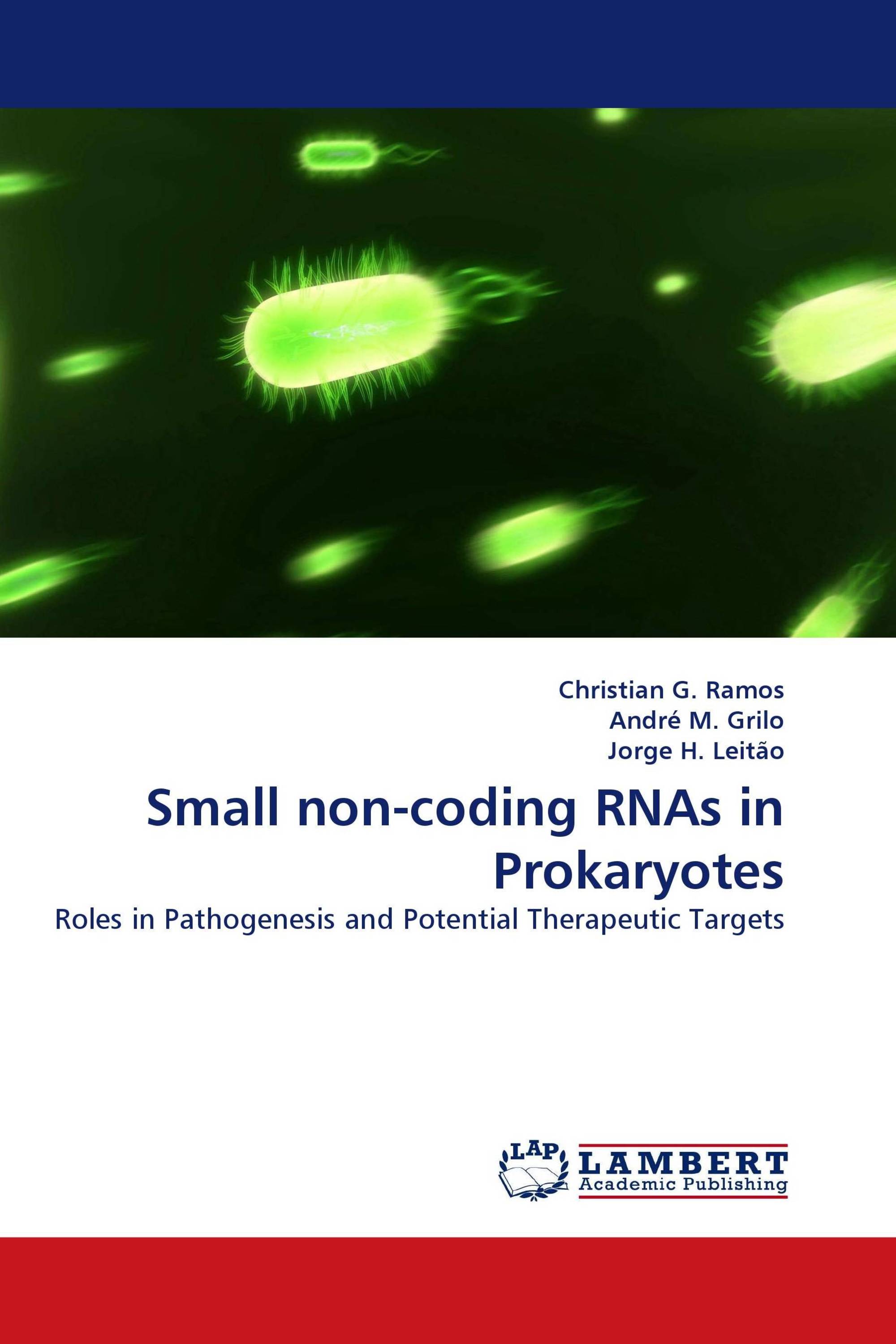 Small non-coding RNAs in Prokaryotes