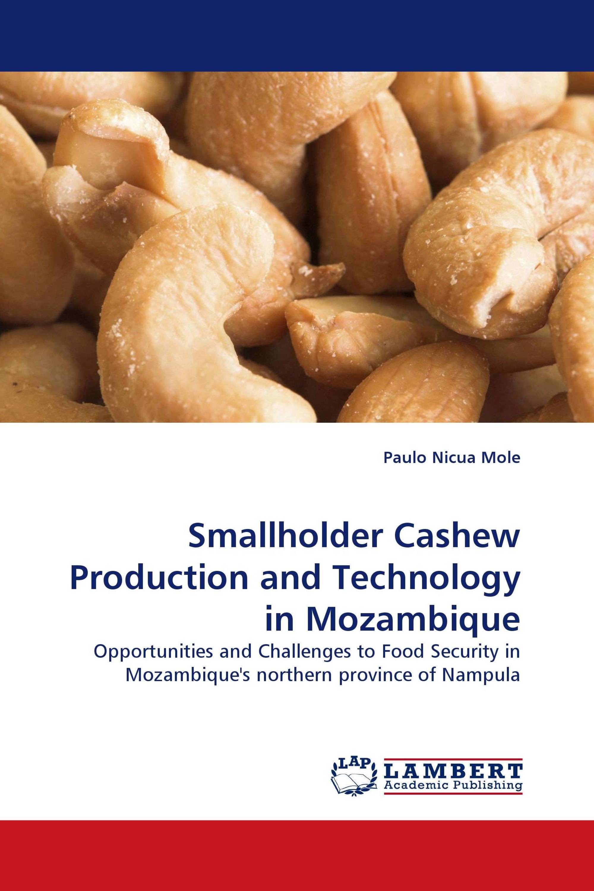 Smallholder Cashew Production and Technology in Mozambique