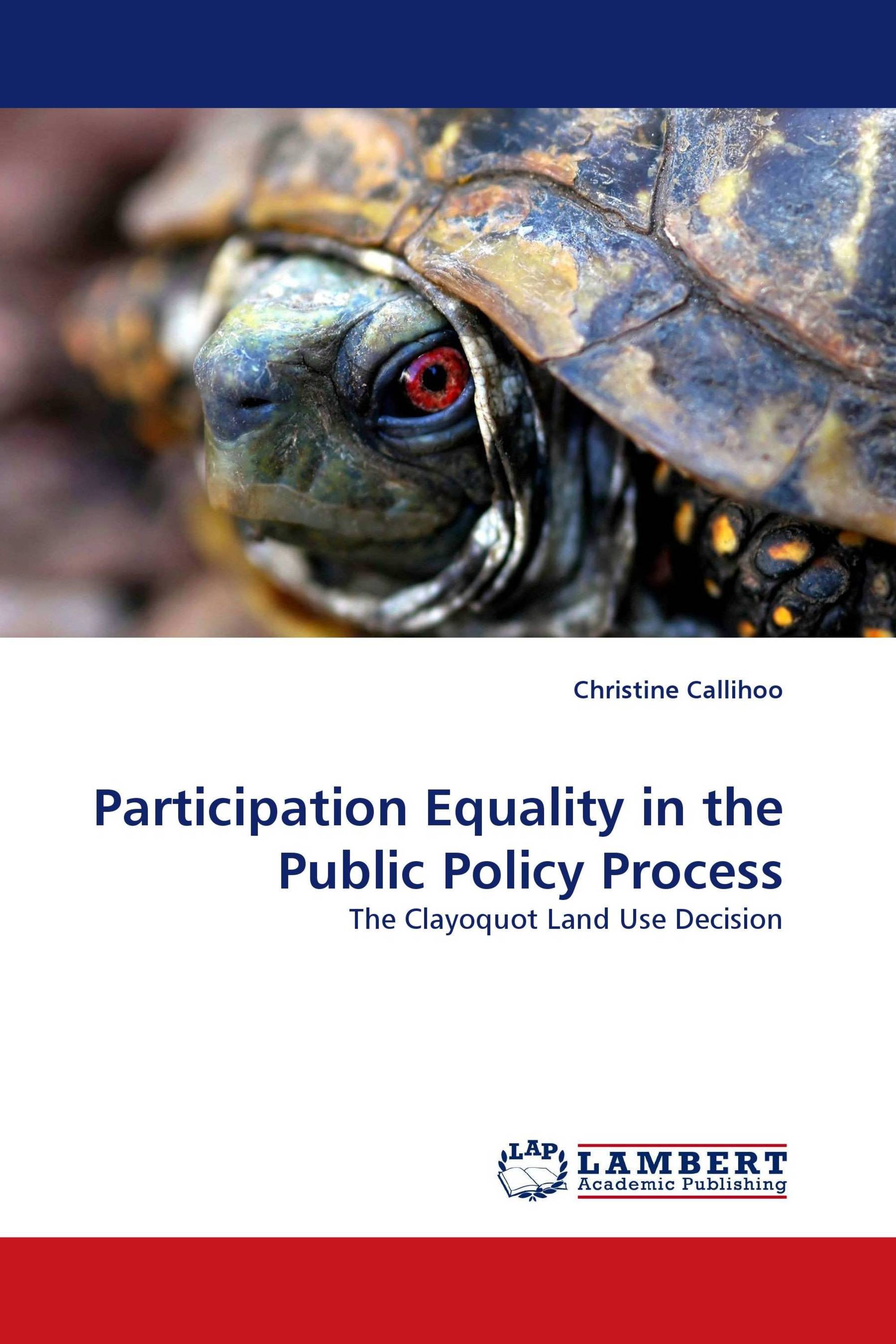 Participation Equality in the Public Policy Process