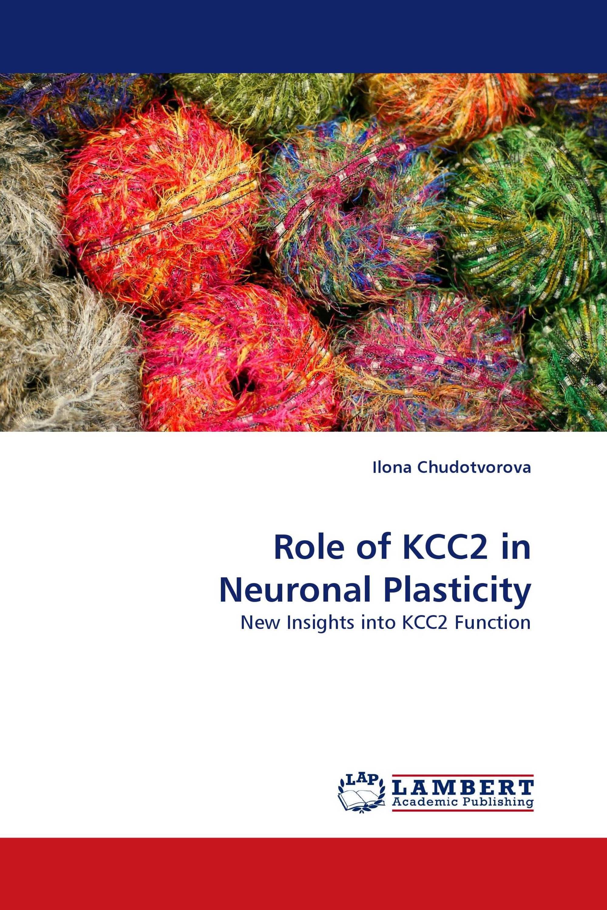 Role of KCC2 in Neuronal Plasticity