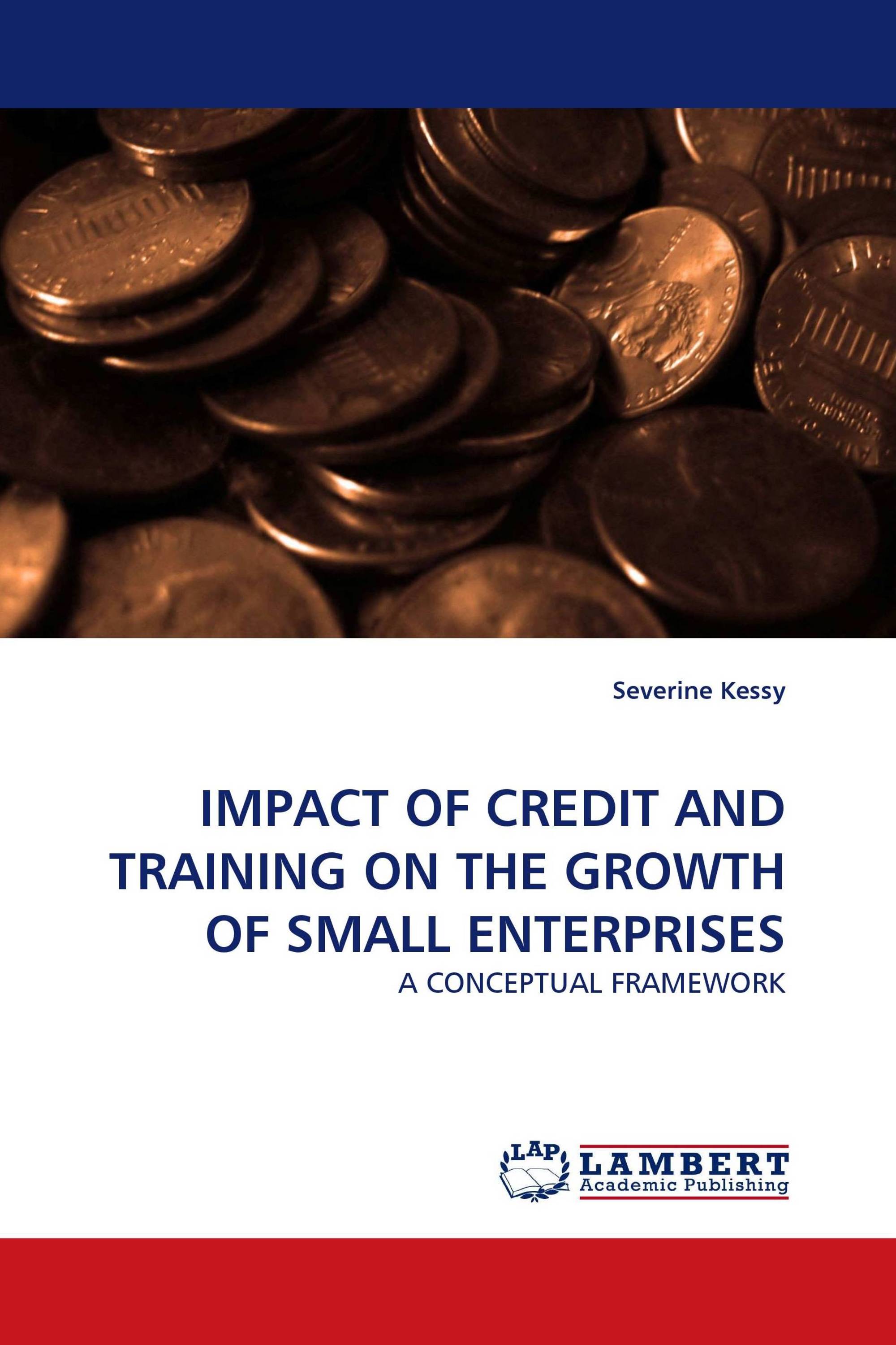 IMPACT OF CREDIT AND TRAINING ON THE GROWTH OF SMALL ENTERPRISES