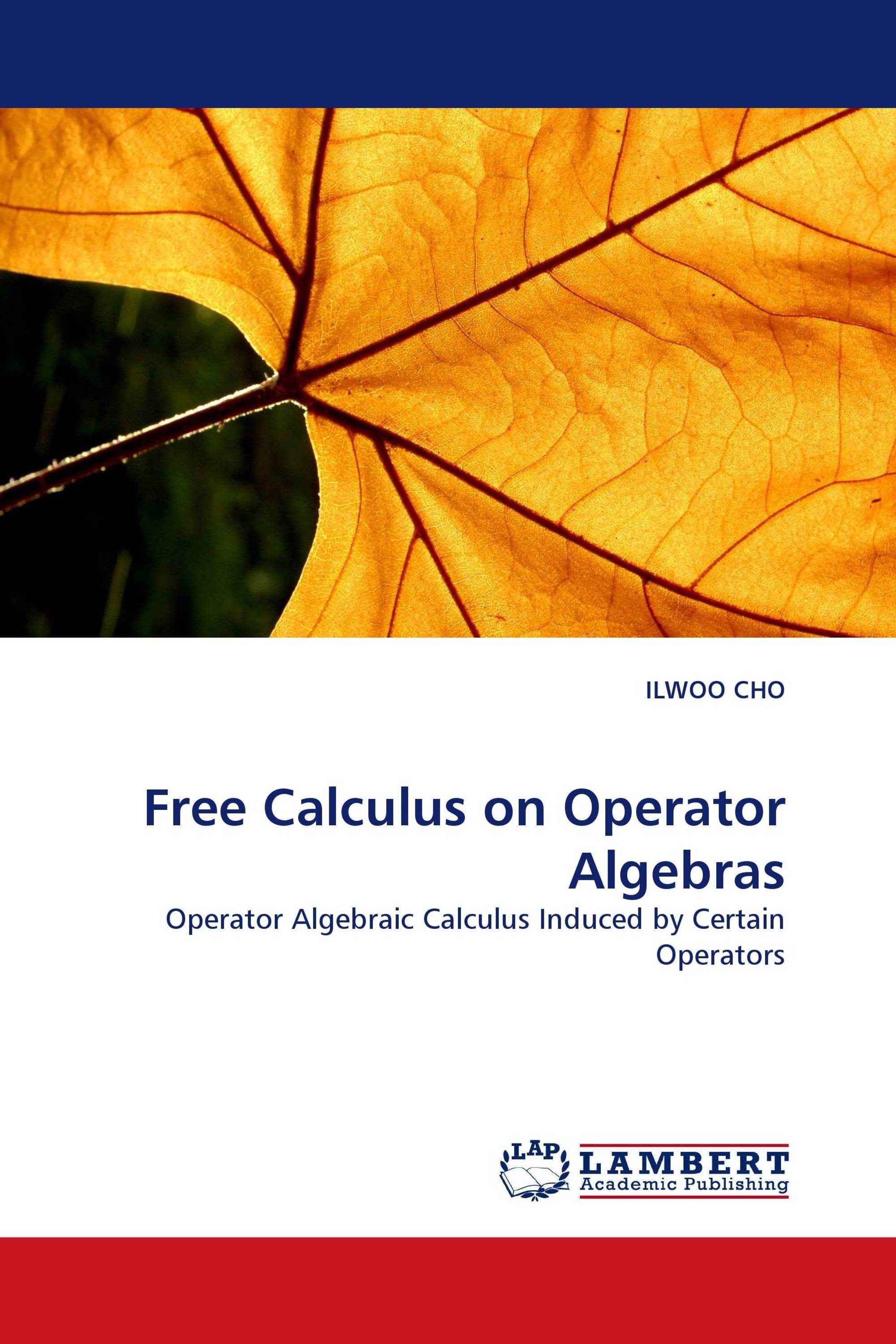 Free Calculus on Operator Algebras