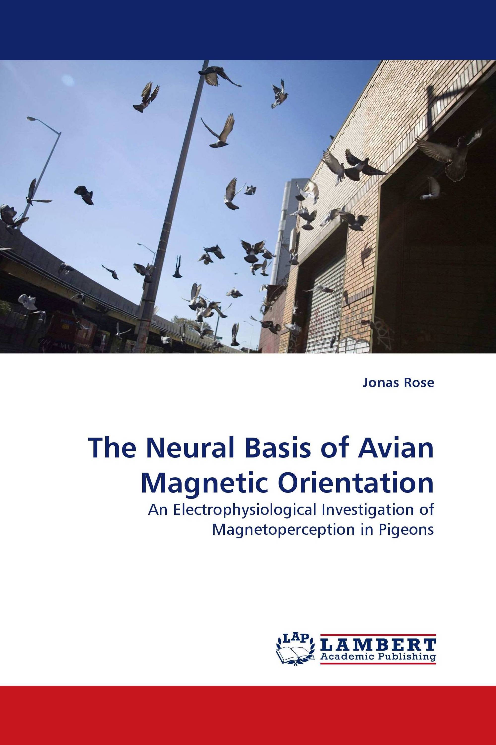 The Neural Basis of Avian Magnetic Orientation