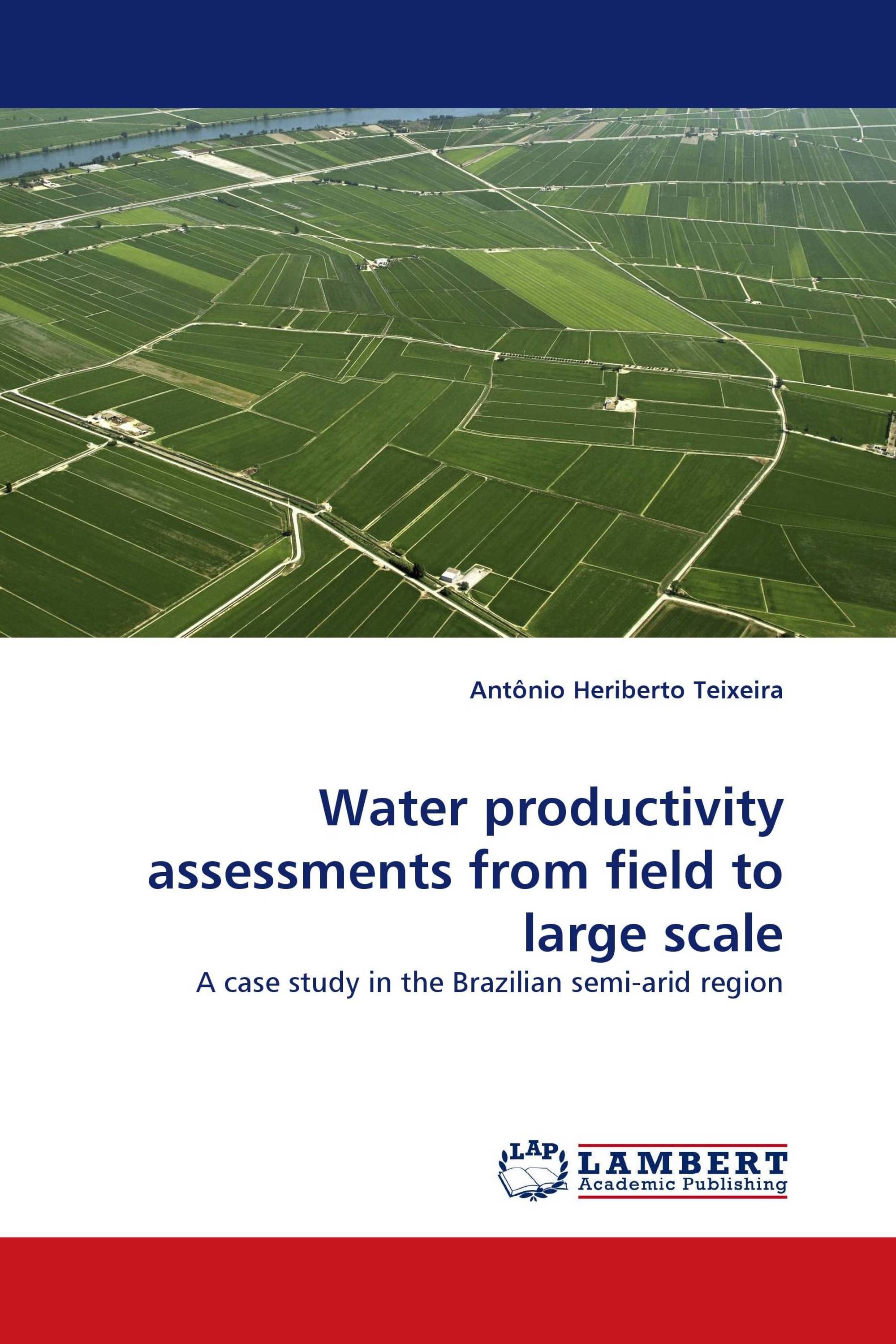 Water productivity assessments from field to large scale