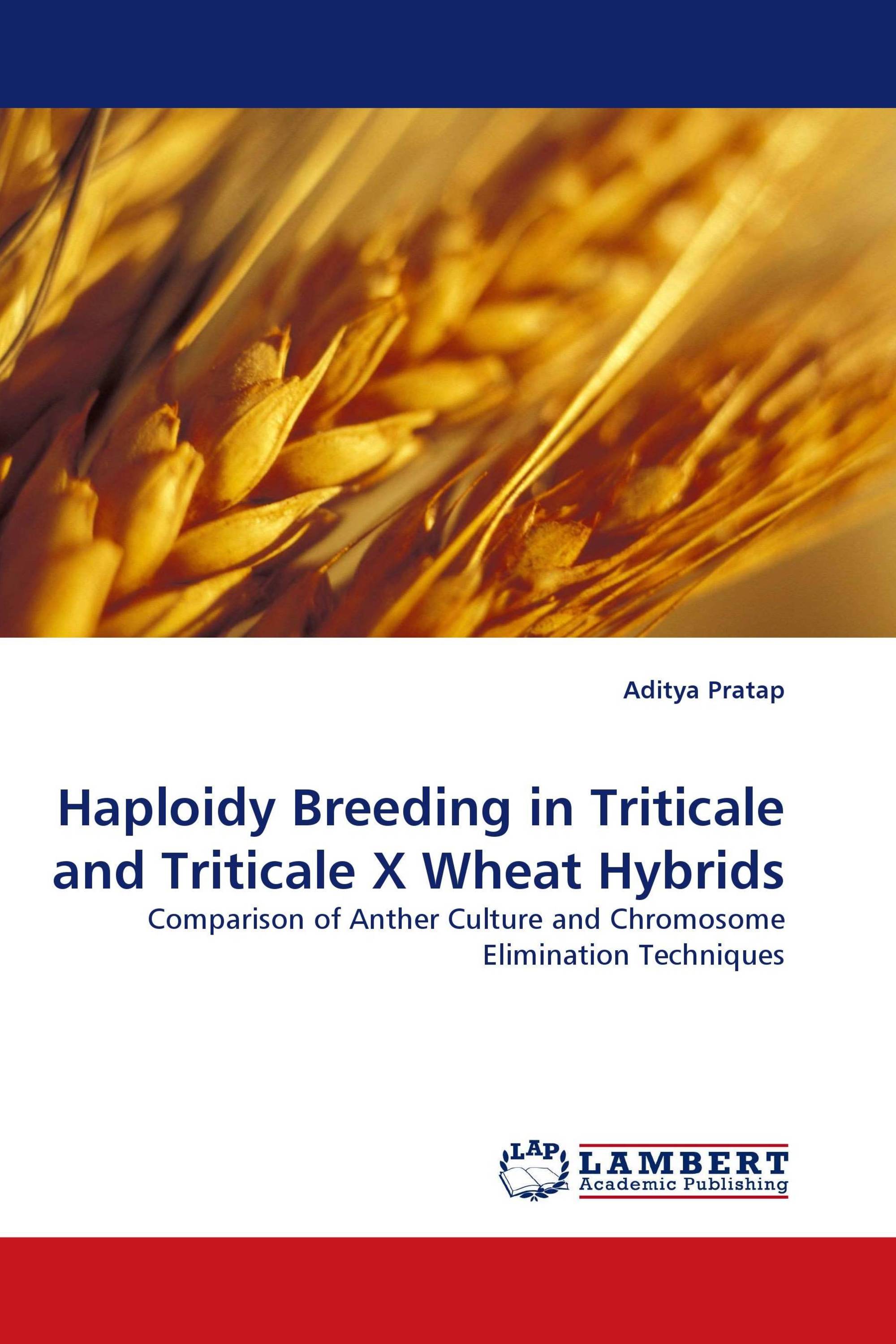 Haploidy Breeding in Triticale and Triticale X Wheat Hybrids