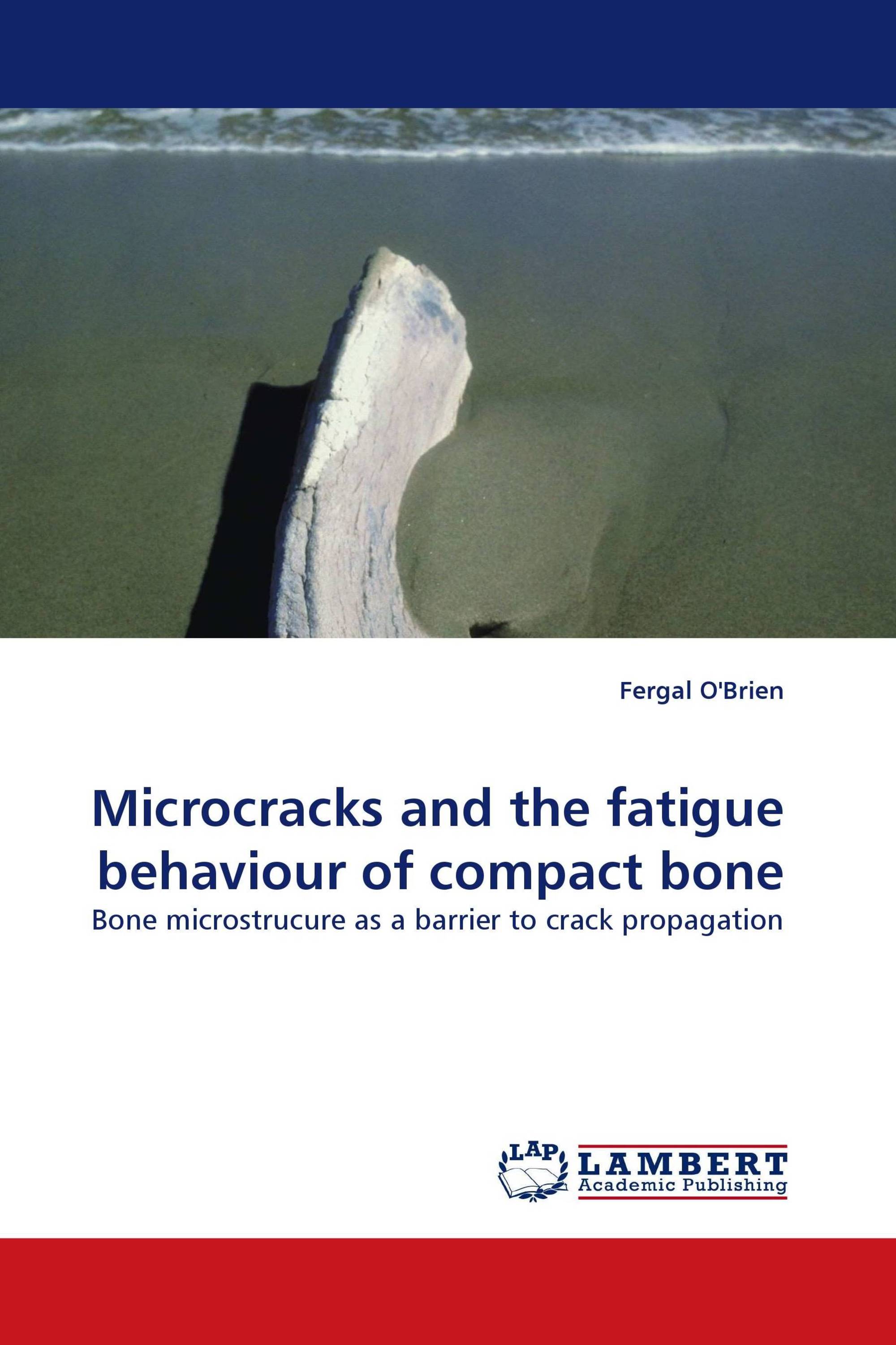 Microcracks and the fatigue behaviour of compact bone
