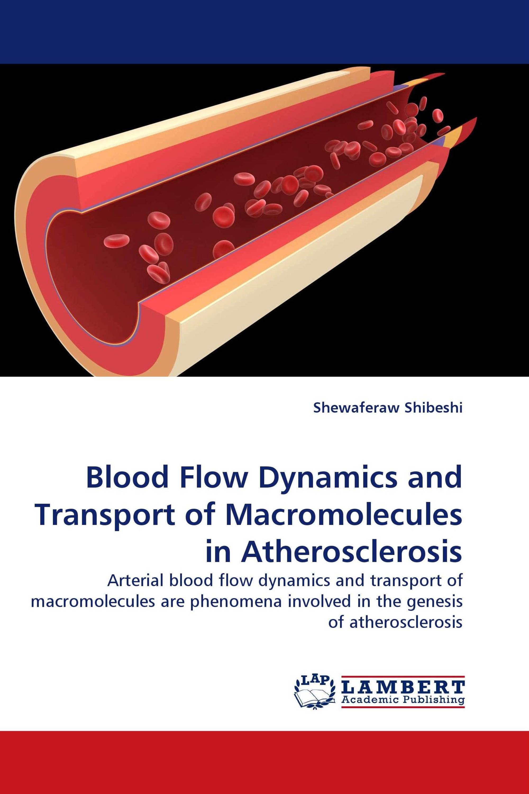 Blood Flow Dynamics and Transport of Macromolecules in Atherosclerosis