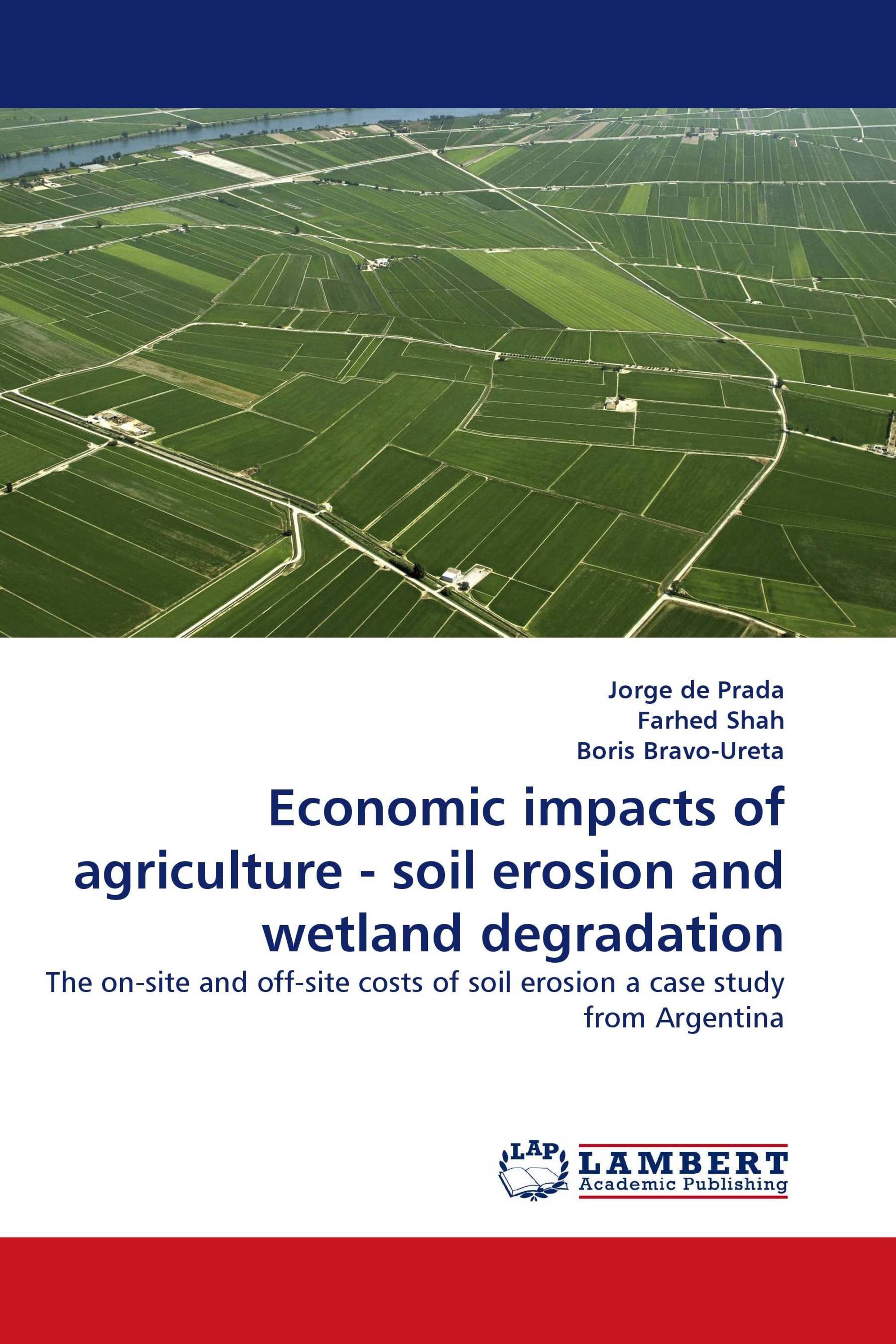 Economic impacts of agriculture - soil erosion and wetland degradation