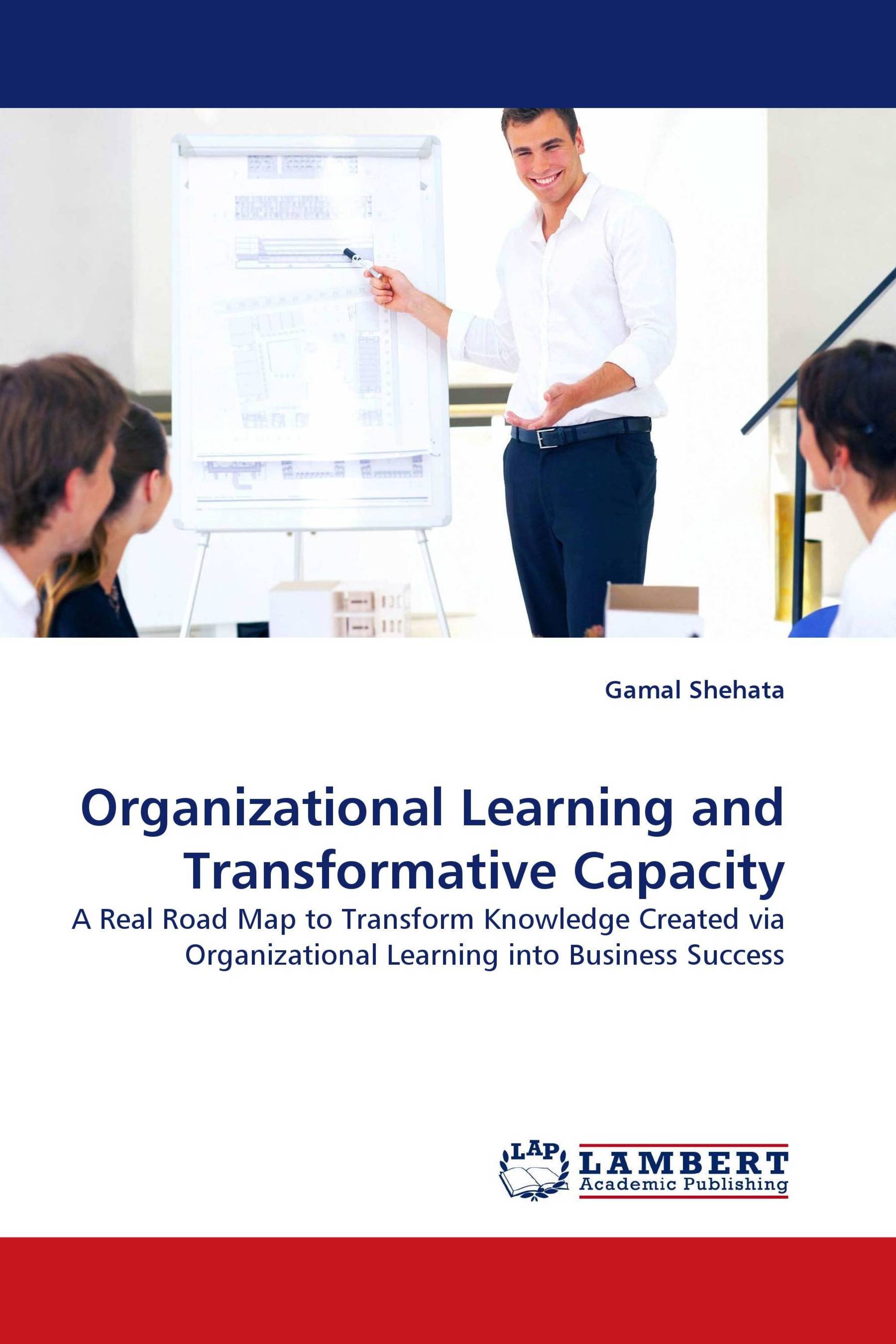 Organizational Learning and Transformative Capacity