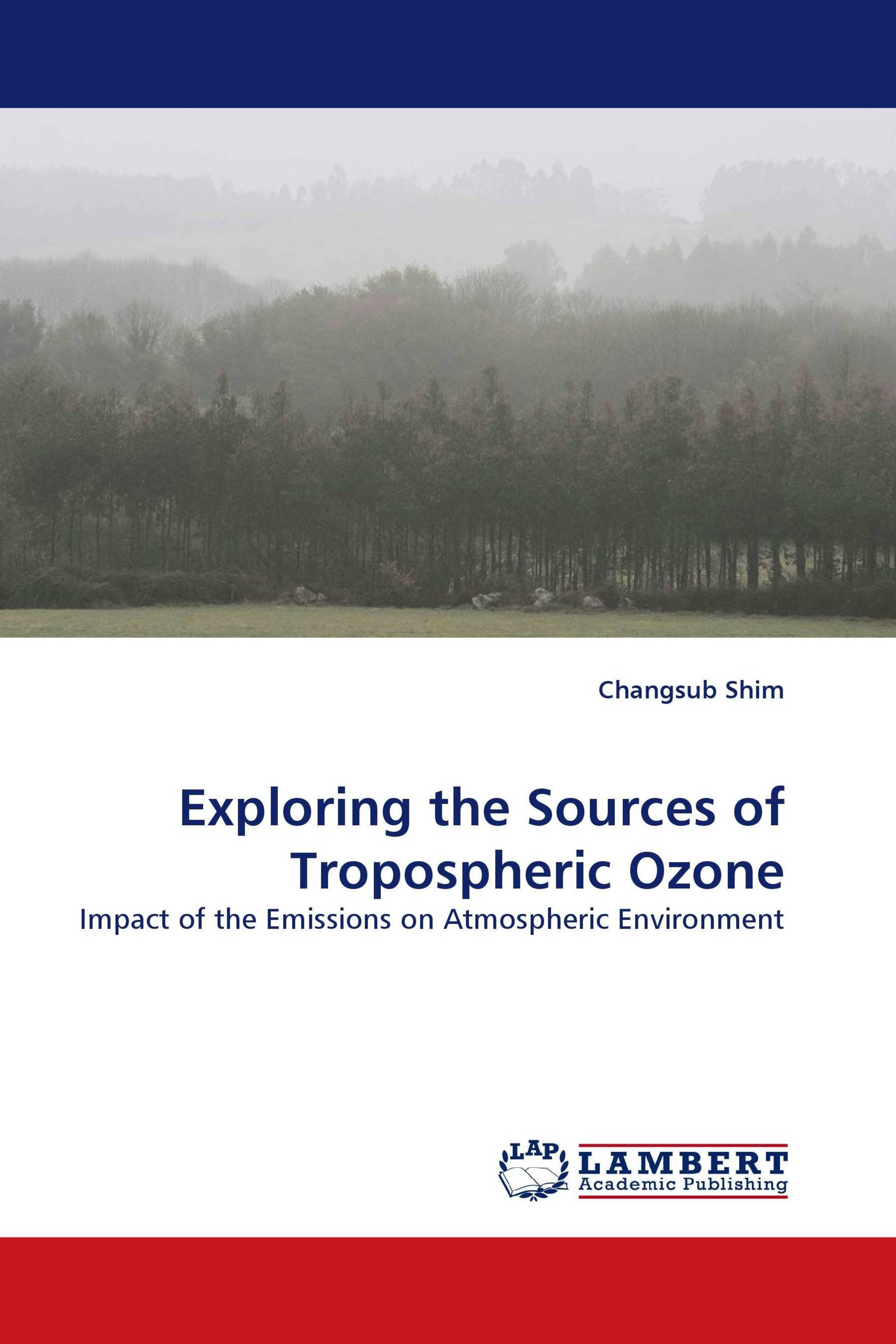 Exploring the Sources of Tropospheric Ozone