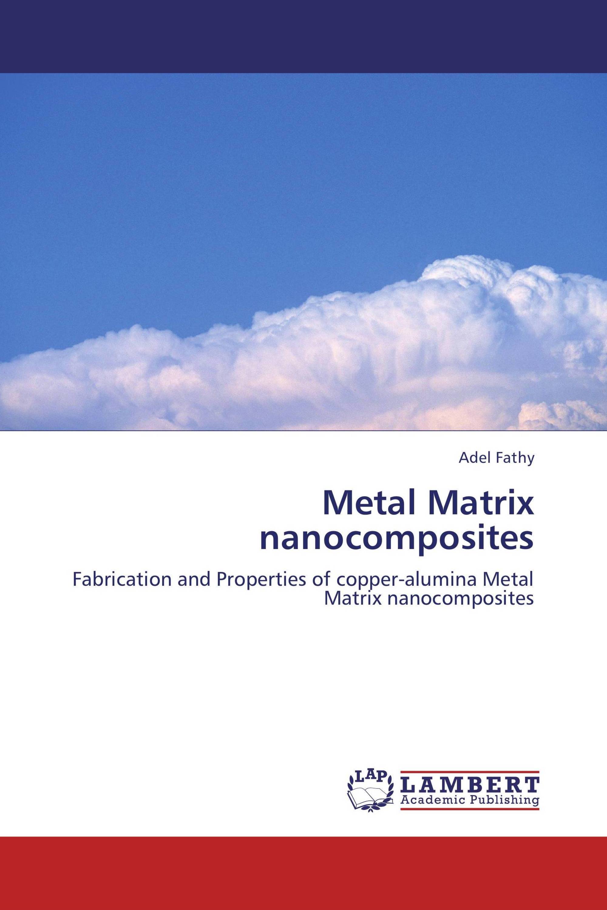 Metal Matrix nanocomposites