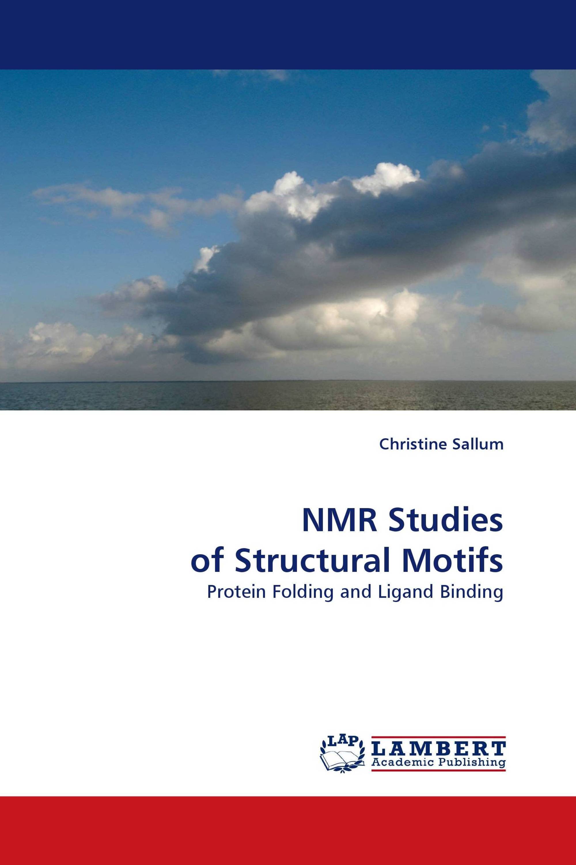 NMR Studies of Structural Motifs