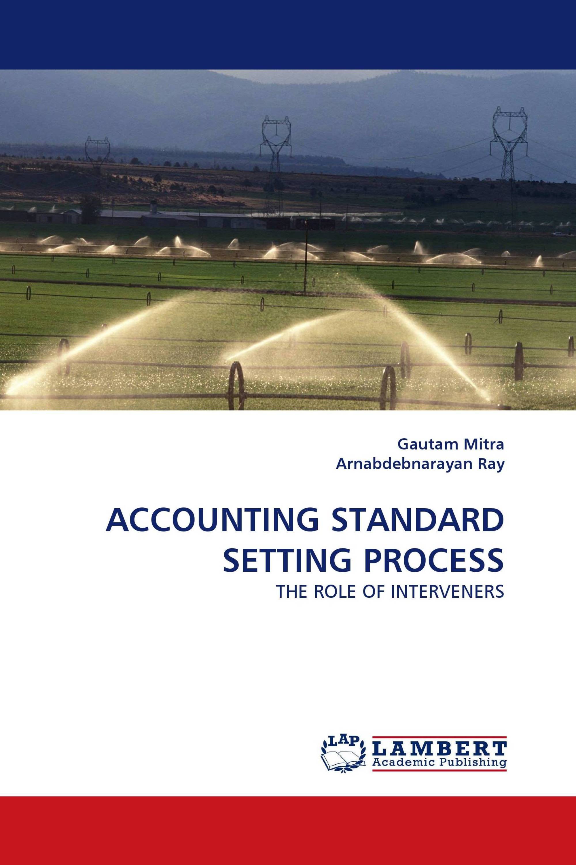 Accounting Standard Setting Process 978 3 8383 3606 0